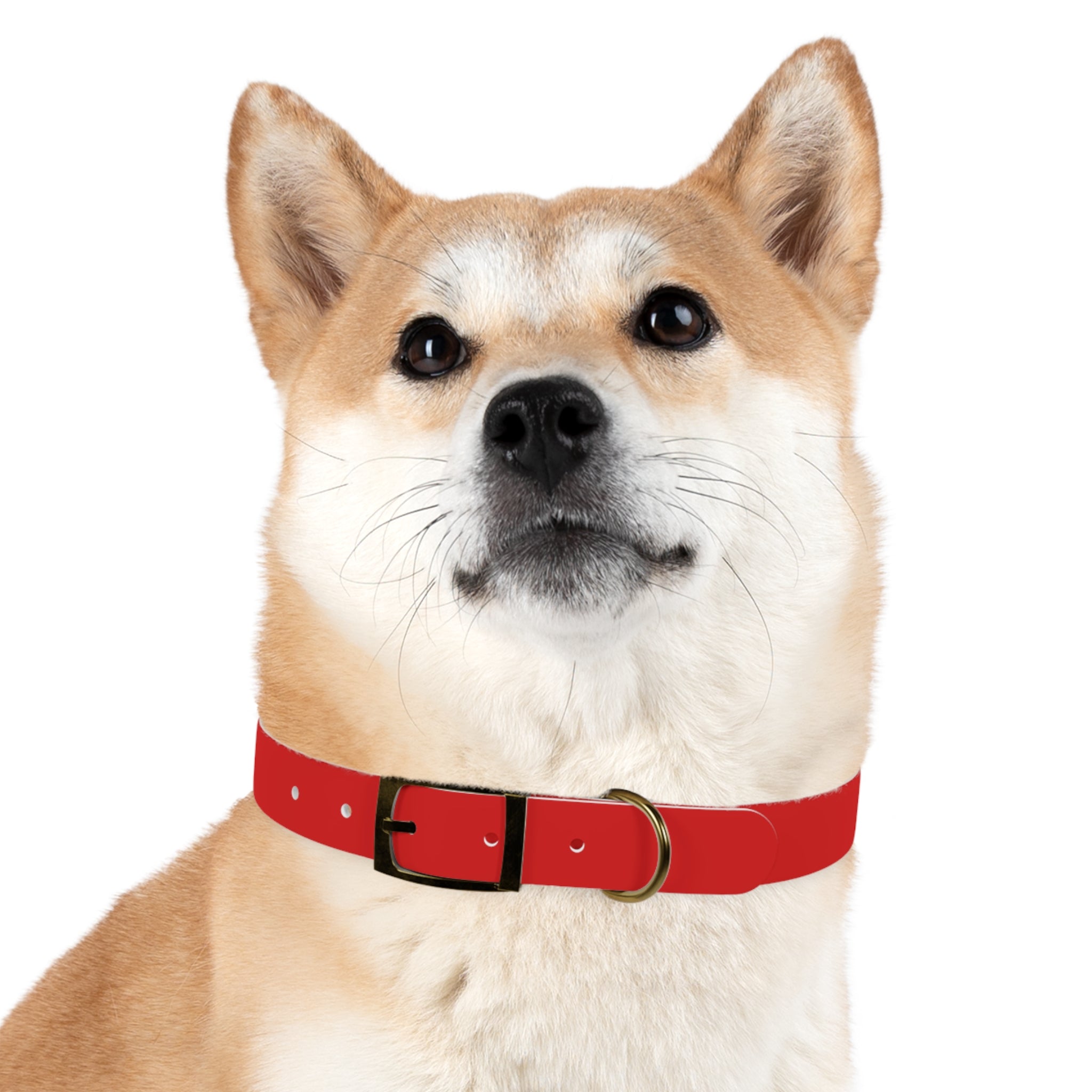 Durable Waterproof Dog Collar | Red