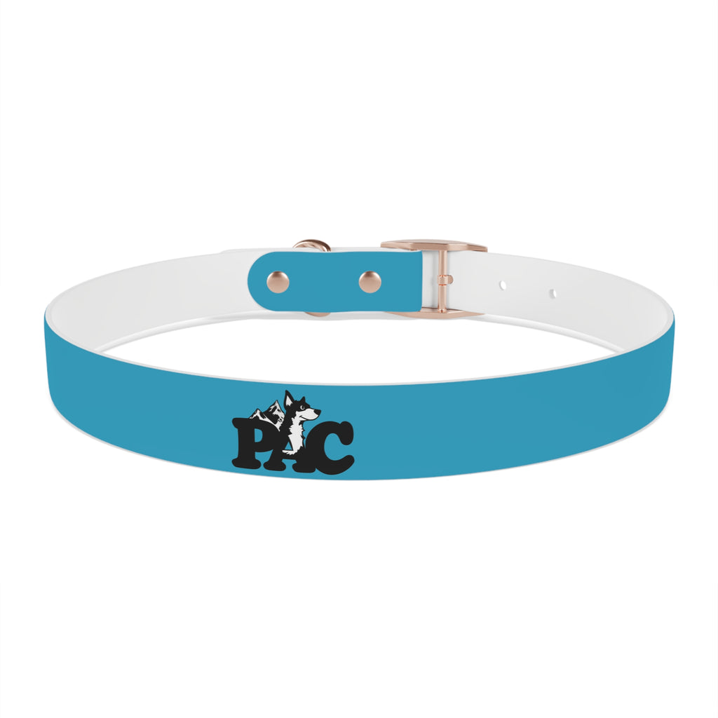 Durable Waterproof Dog Collar | Turquoise