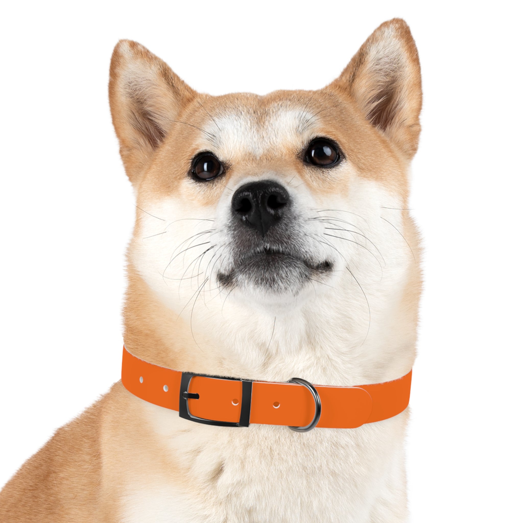 Durable Adjustable Dog Collar | Paw Print | Orange