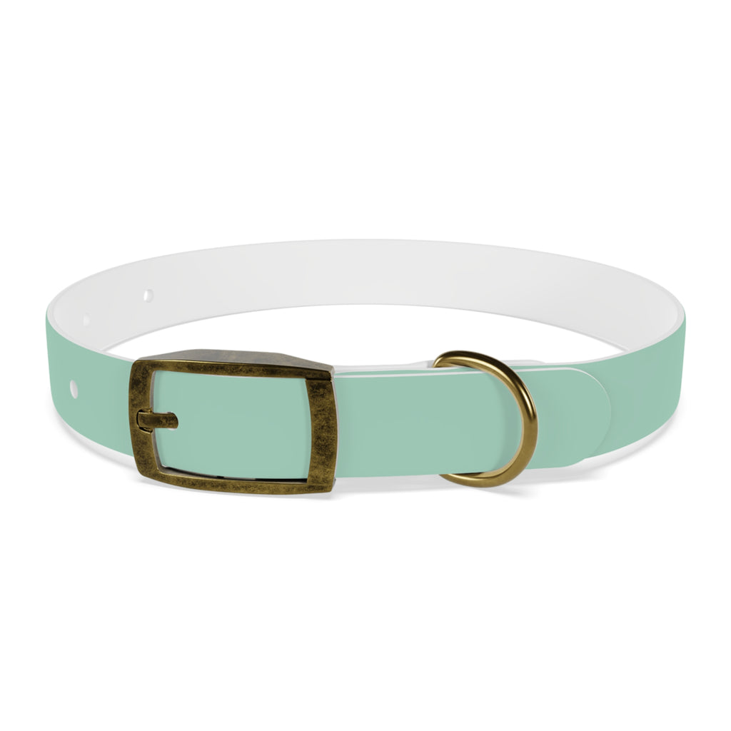 Durable Waterproof Dog Collar | Mint