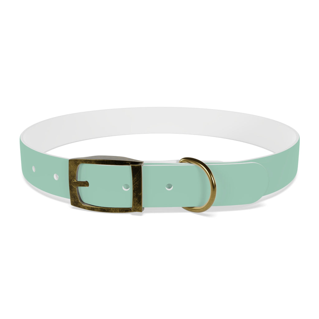 Durable Waterproof Dog Collar | Mint