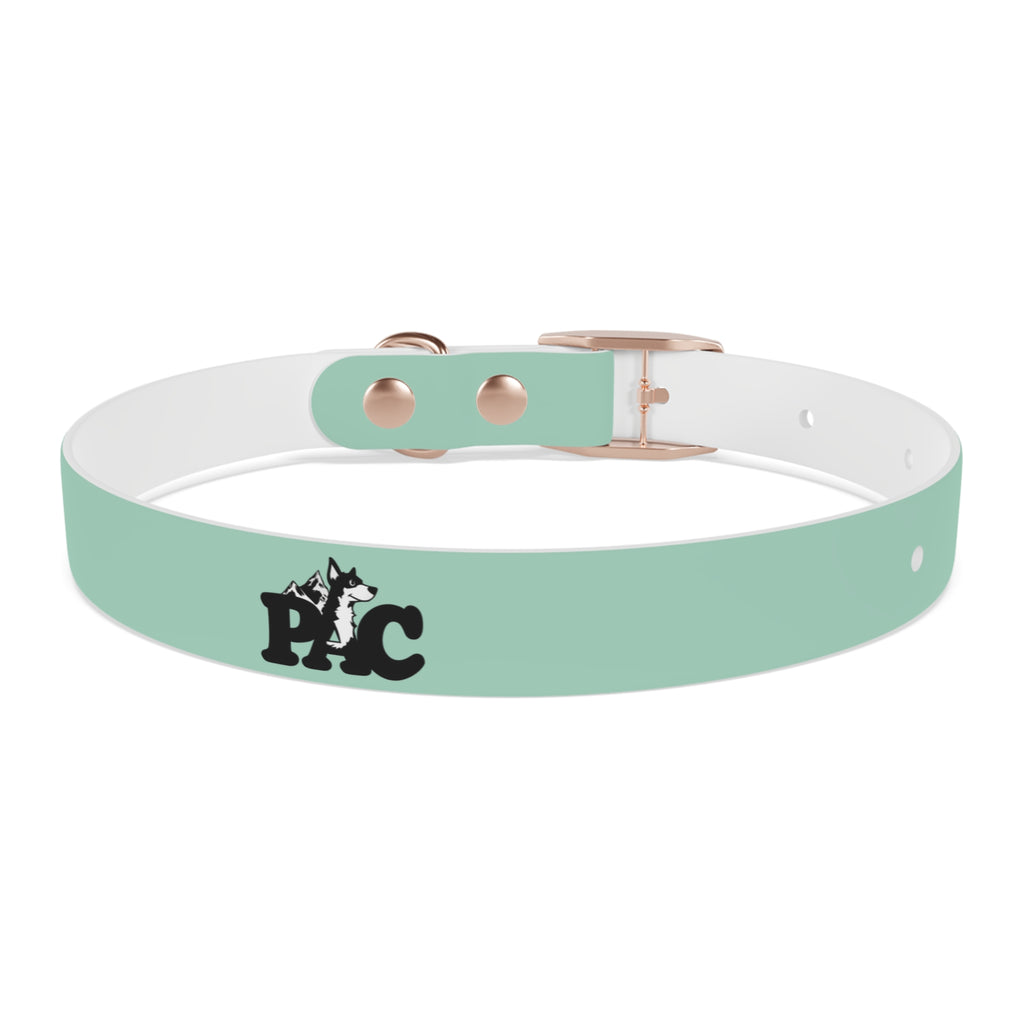 Durable Waterproof Dog Collar | Mint