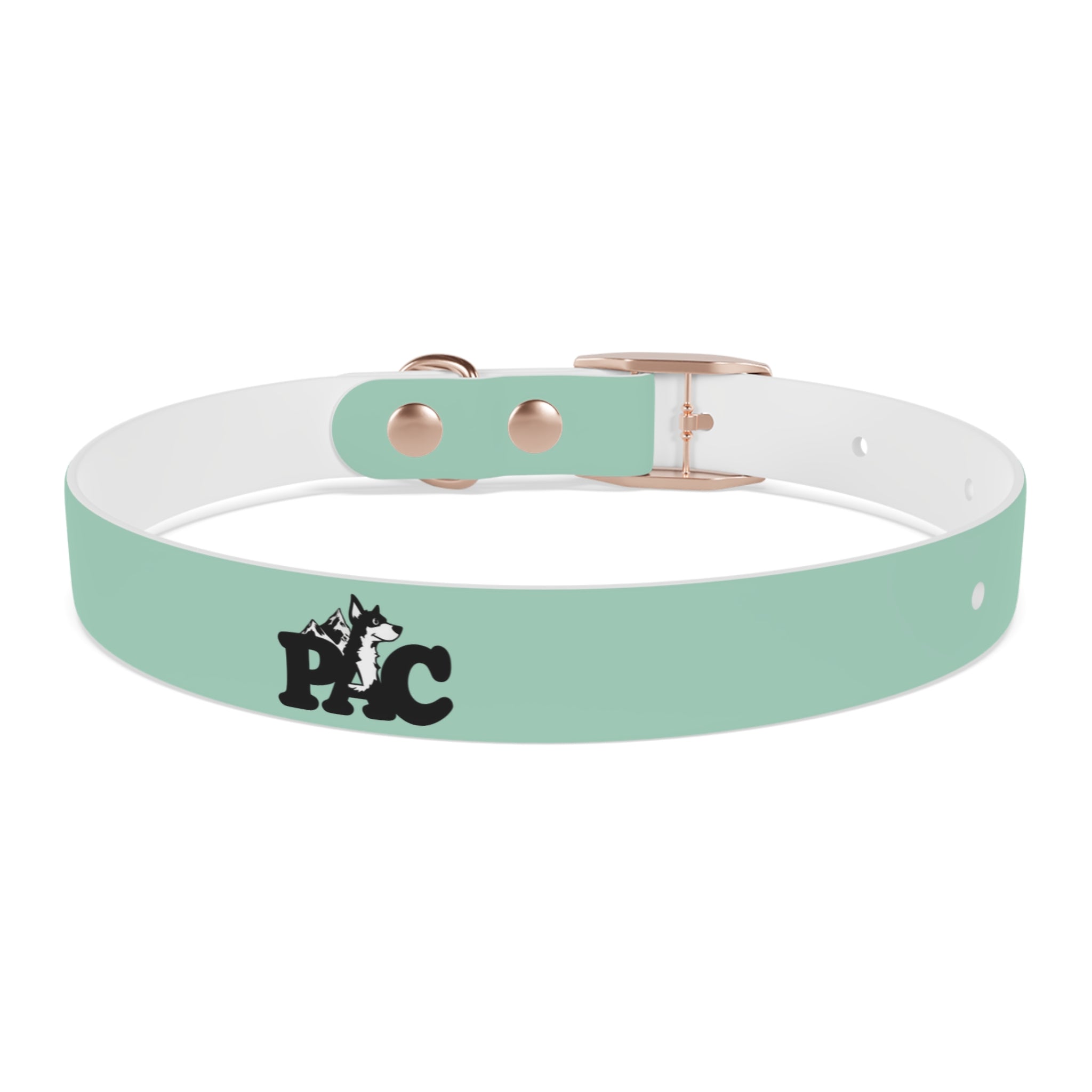 Durable Waterproof Dog Collar | Mint