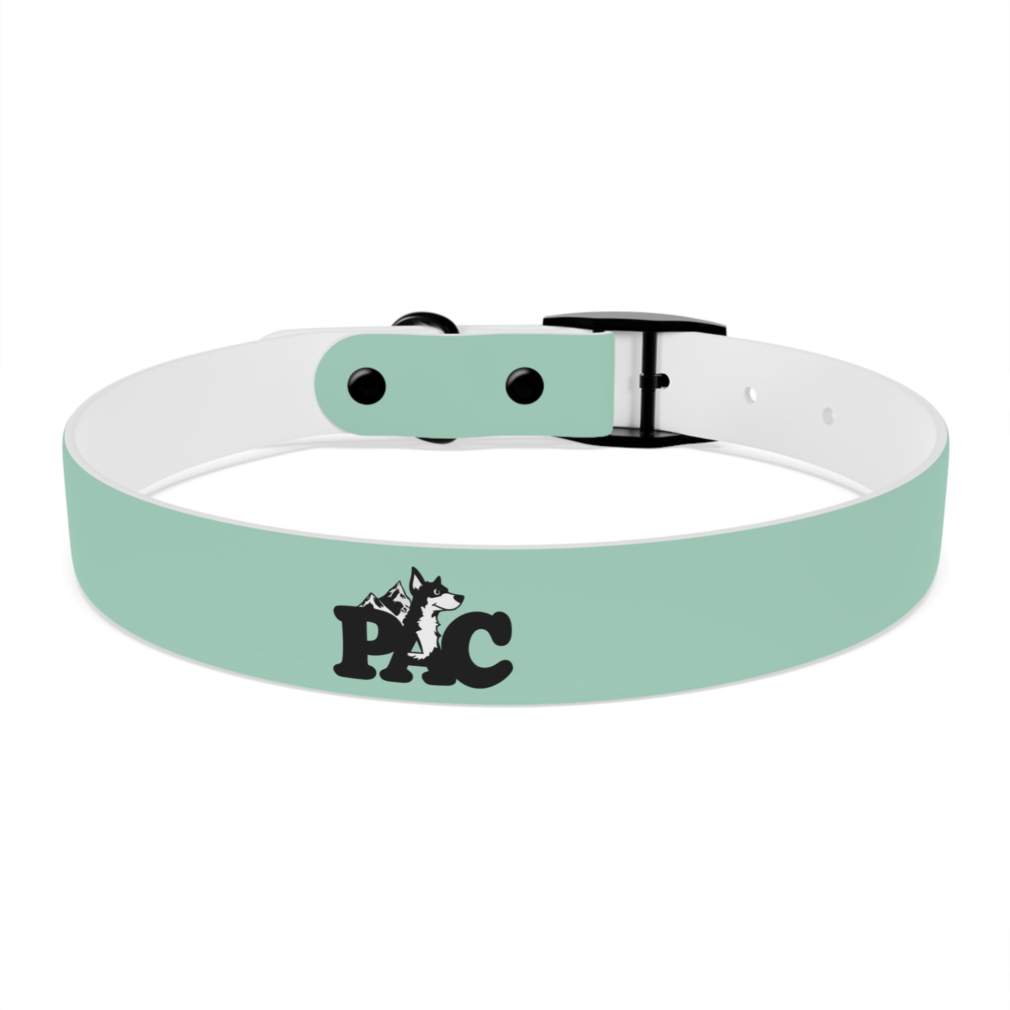Durable Waterproof Dog Collar | Mint