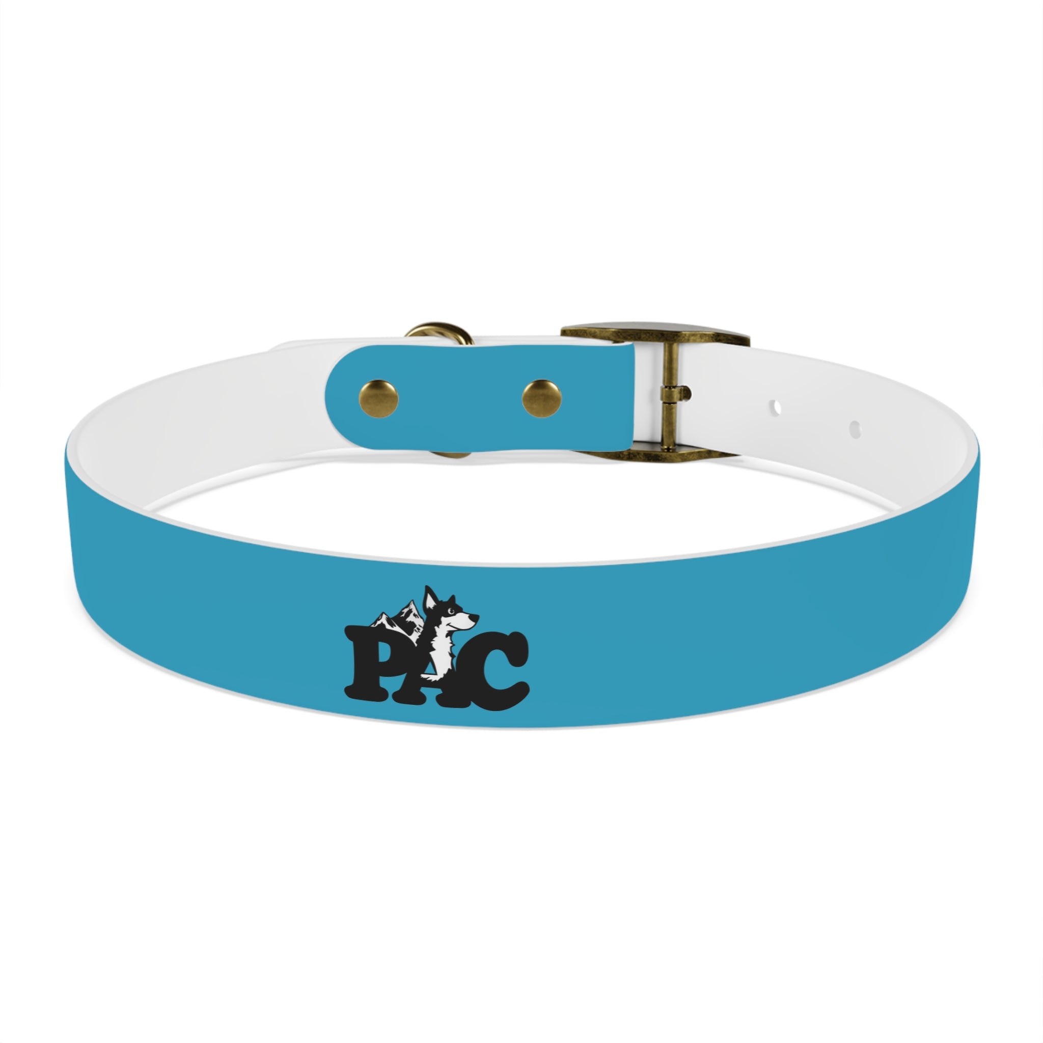 Durable Waterproof Dog Collar | Turquoise