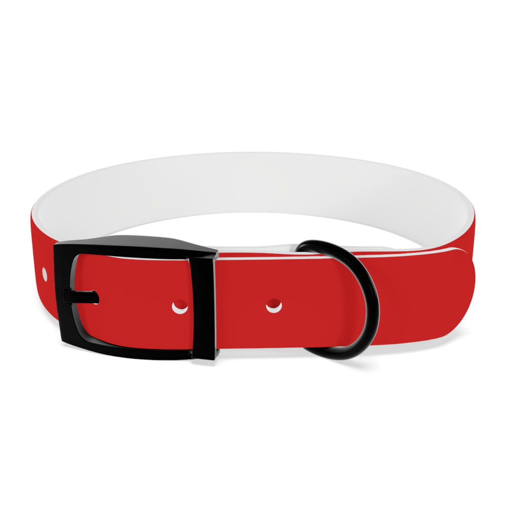 Durable Waterproof Dog Collar | Red