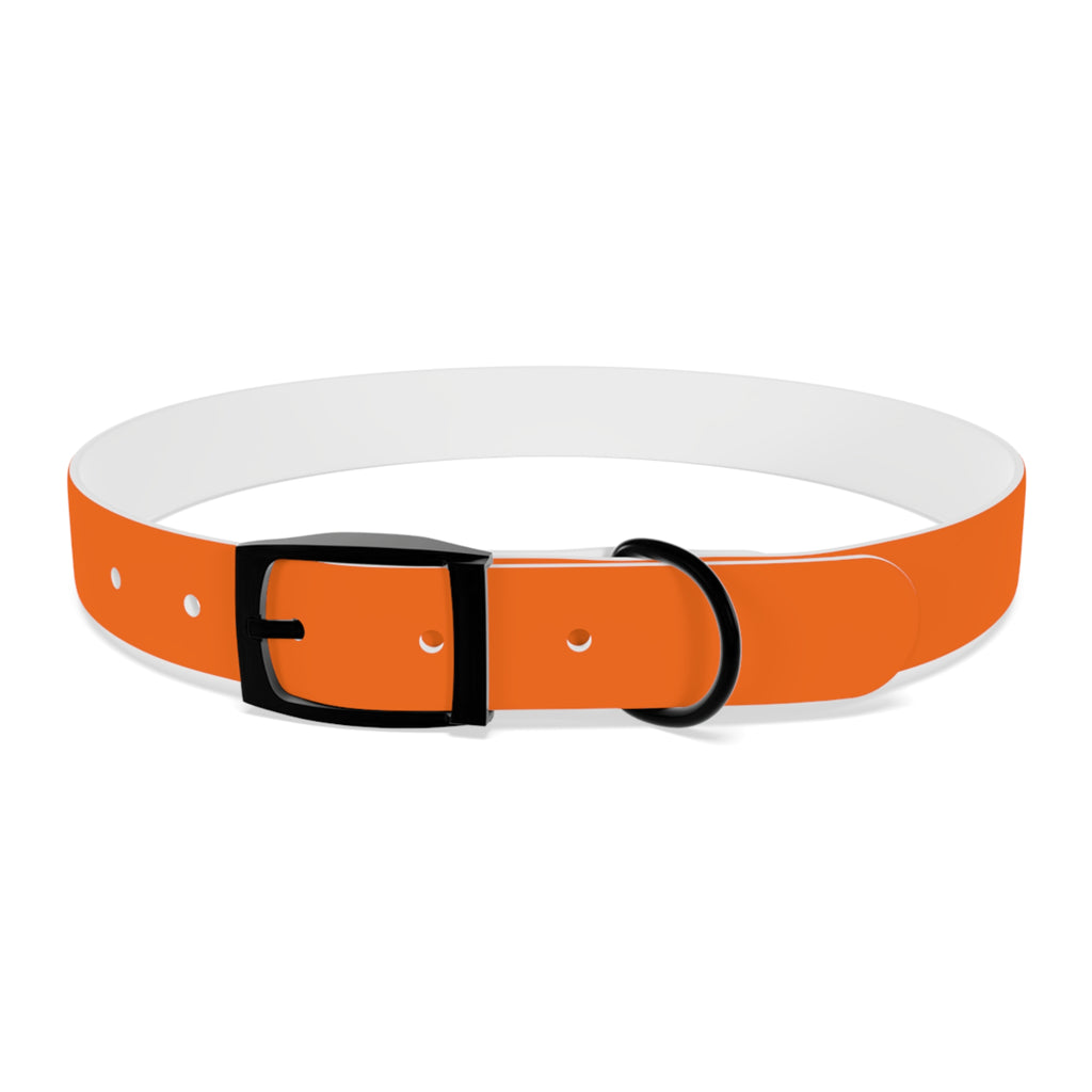 Durable Waterproof Dog Collar | Orange