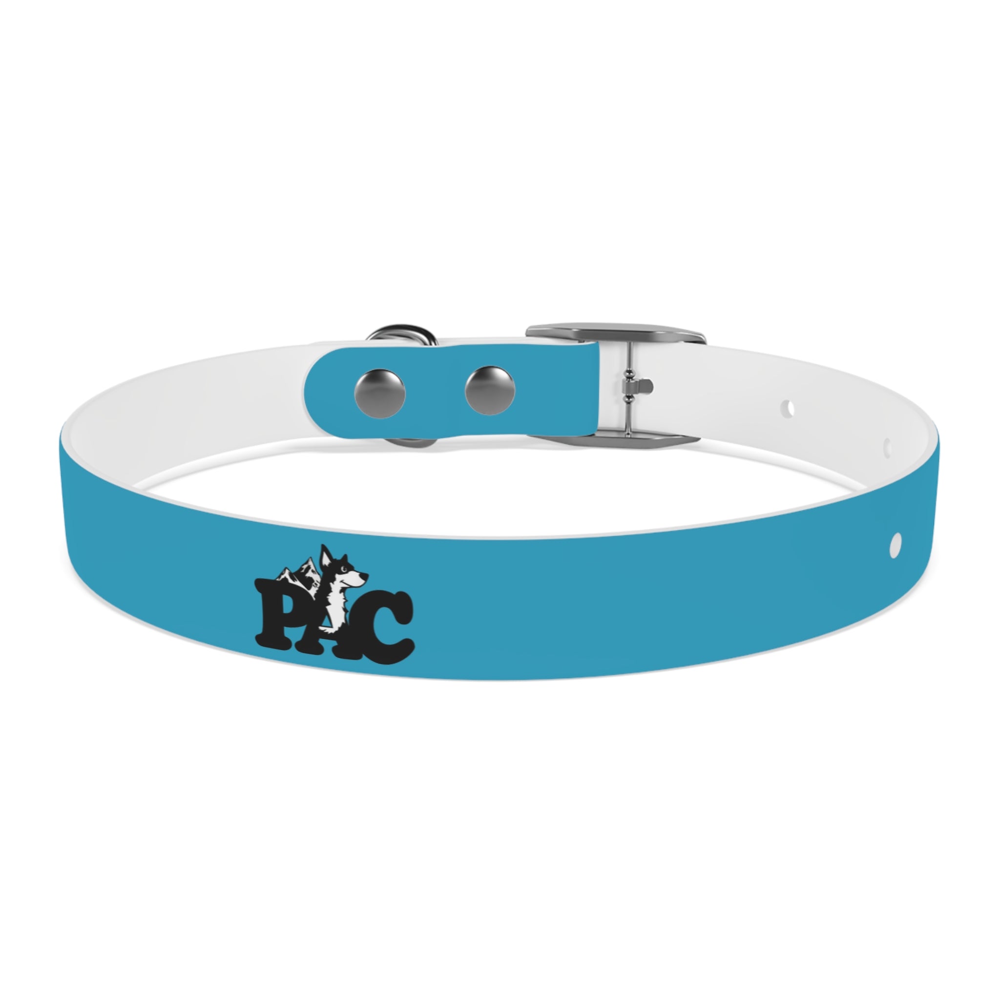 Durable Waterproof Dog Collar | Turquoise