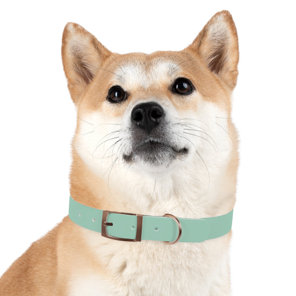 Durable Waterproof Dog Collar | Mint
