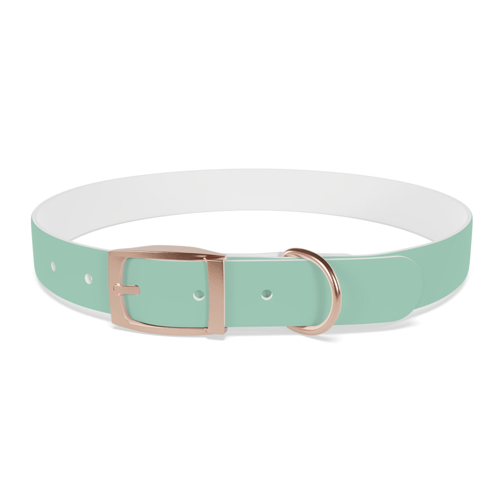 Durable Waterproof Dog Collar | Mint