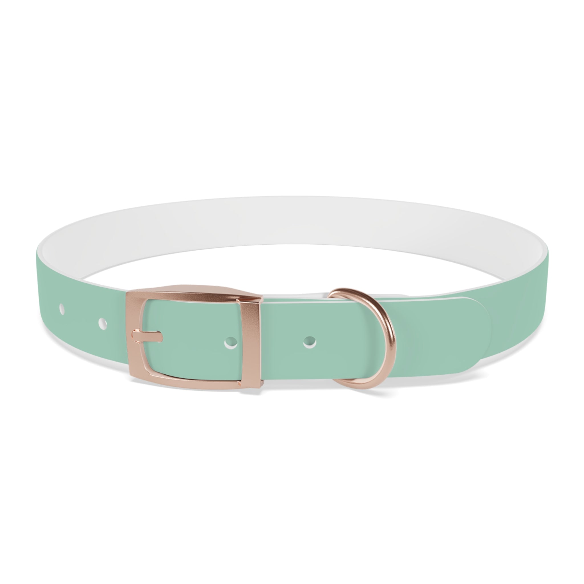Durable Waterproof Dog Collar | Mint