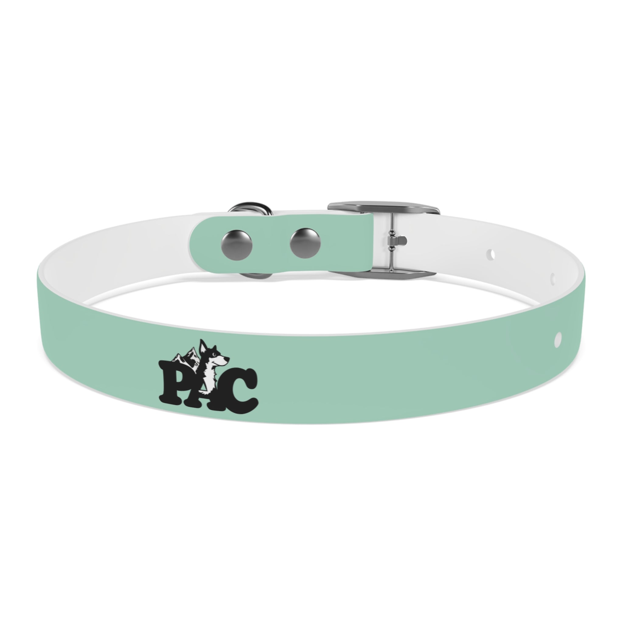 Durable Waterproof Dog Collar | Mint