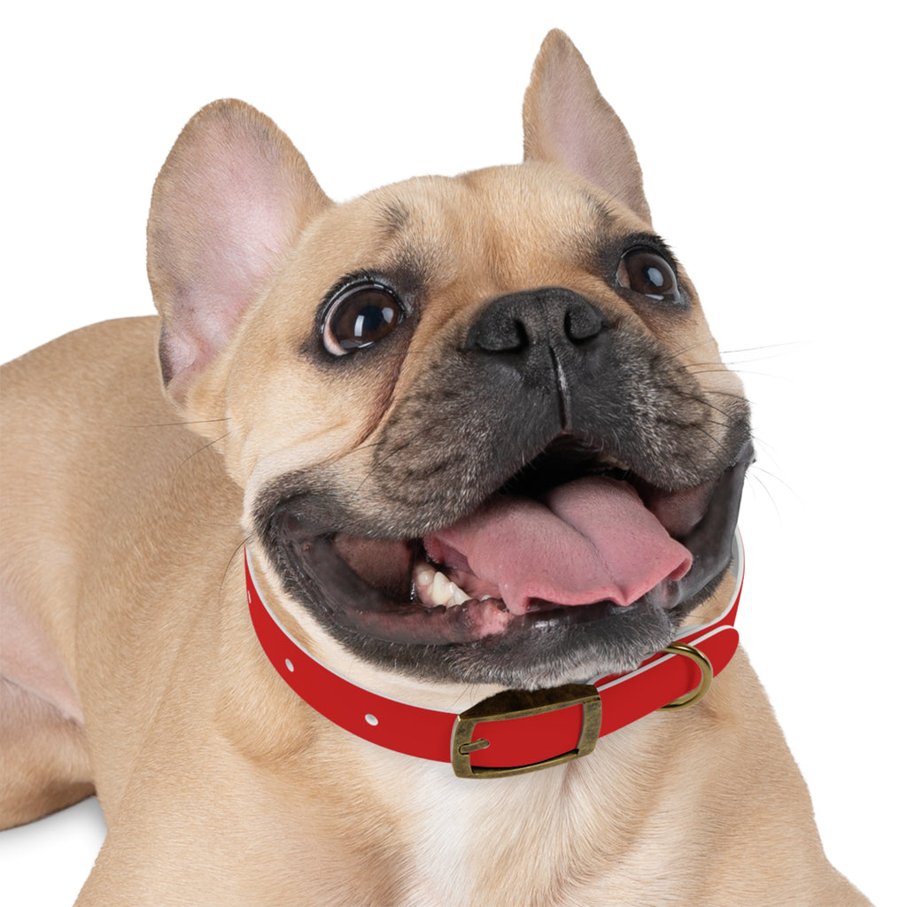 Durable Waterproof Dog Collar | Red