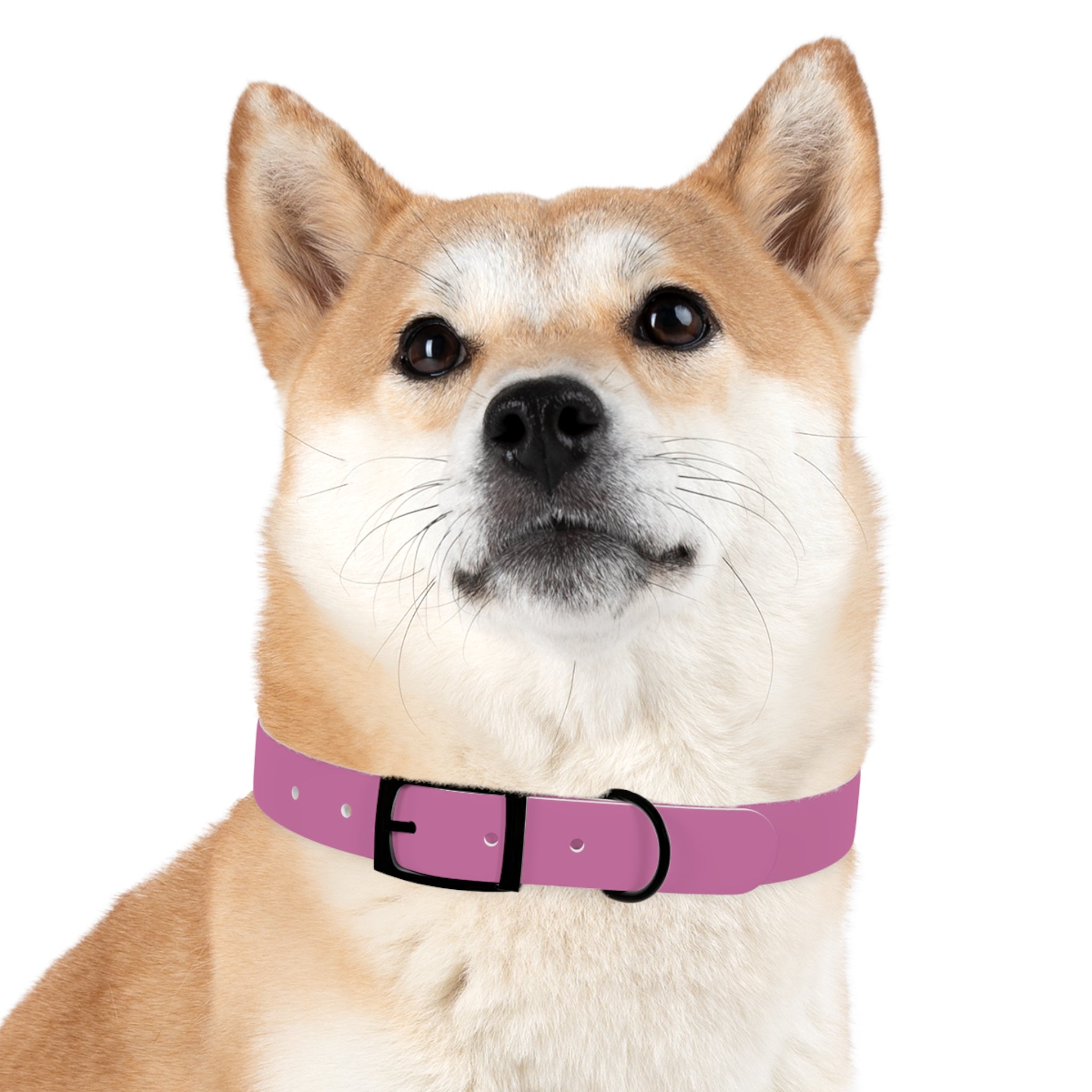 Durable Waterproof Dog Collar | Pink