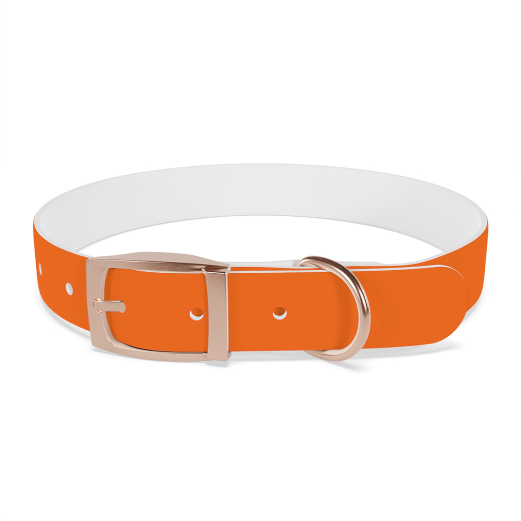Durable Adjustable Dog Collar | Paw Print | Orange