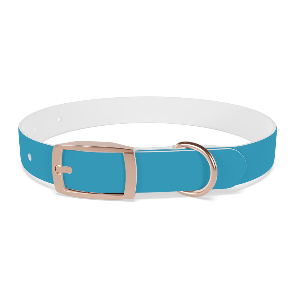 Durable Waterproof Dog Collar | Turquoise