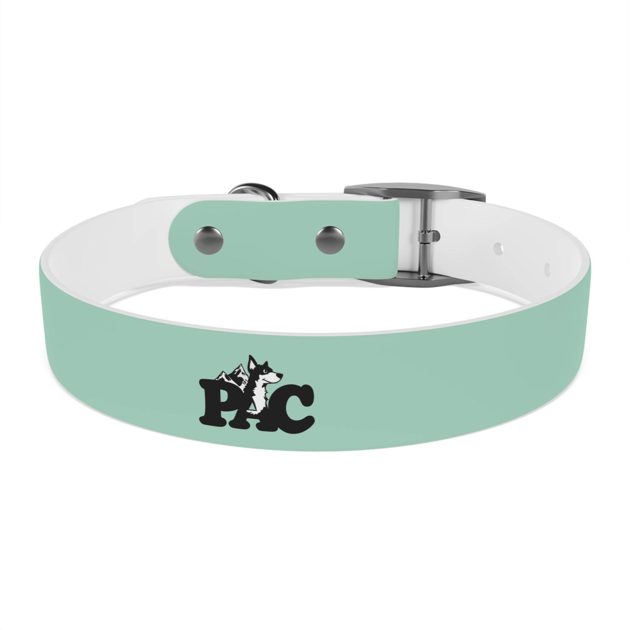 Durable Waterproof Dog Collar | Mint