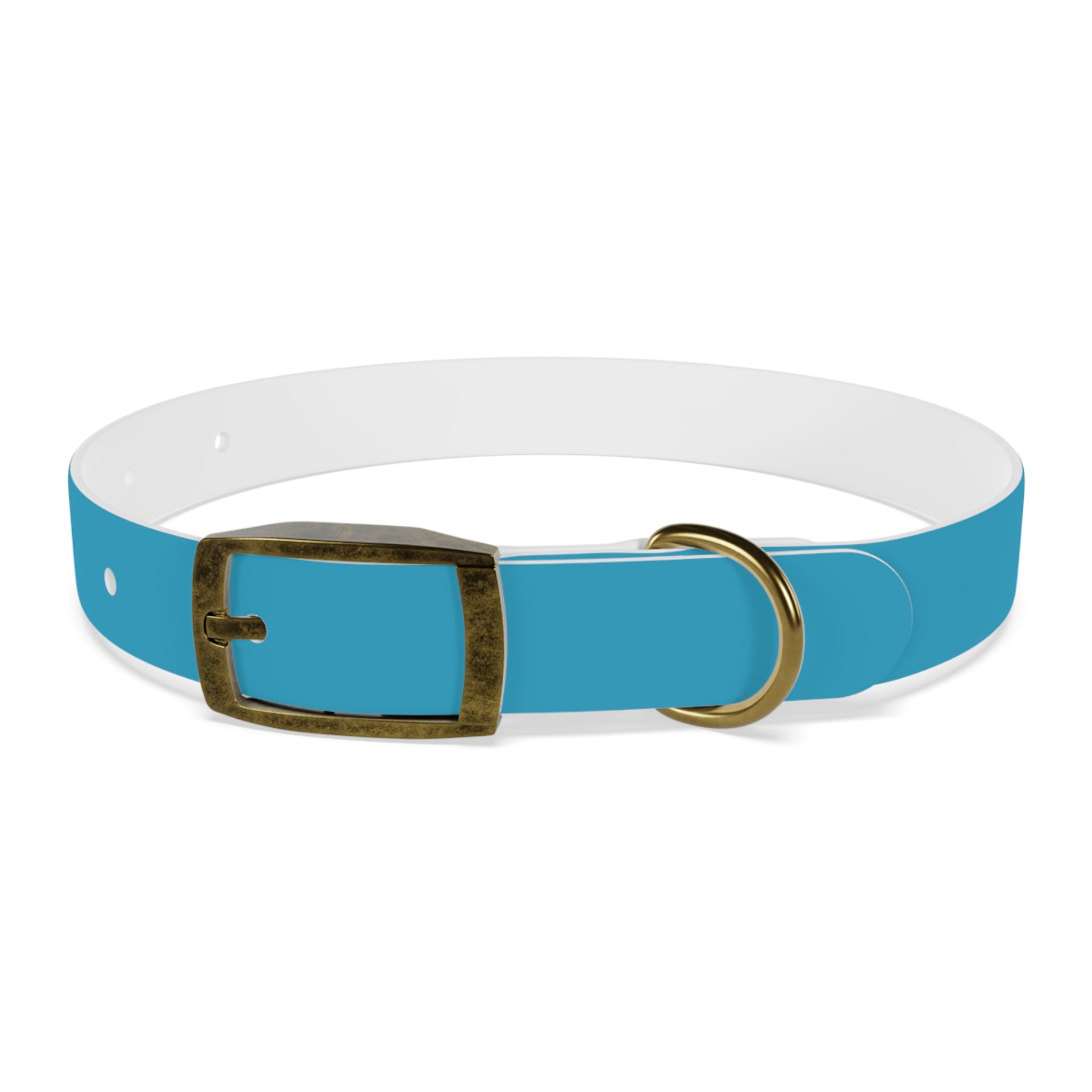 Durable Waterproof Dog Collar | Turquoise
