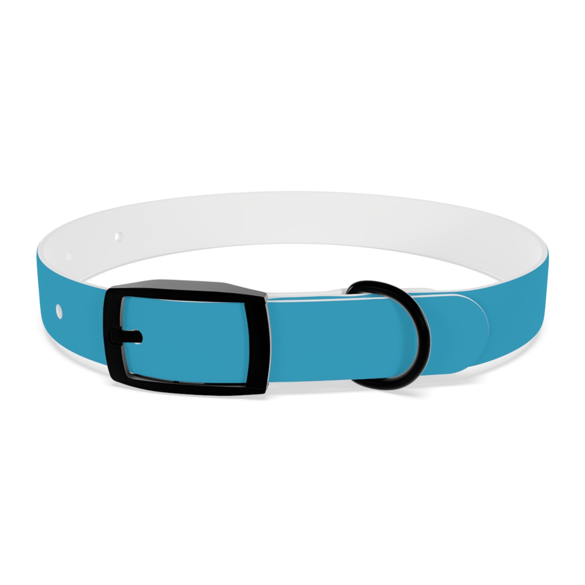 Durable Waterproof Dog Collar | Turquoise