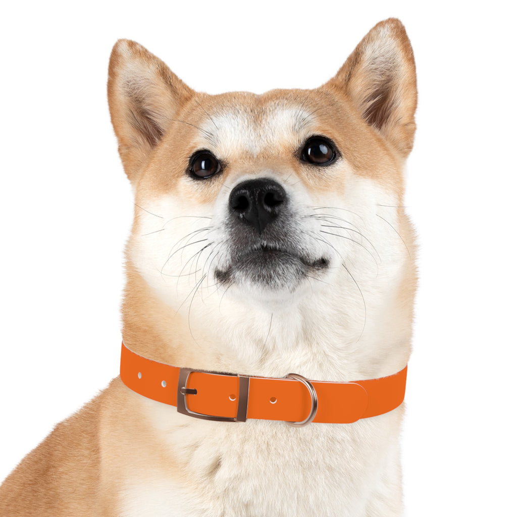 Durable Waterproof Dog Collar | Orange