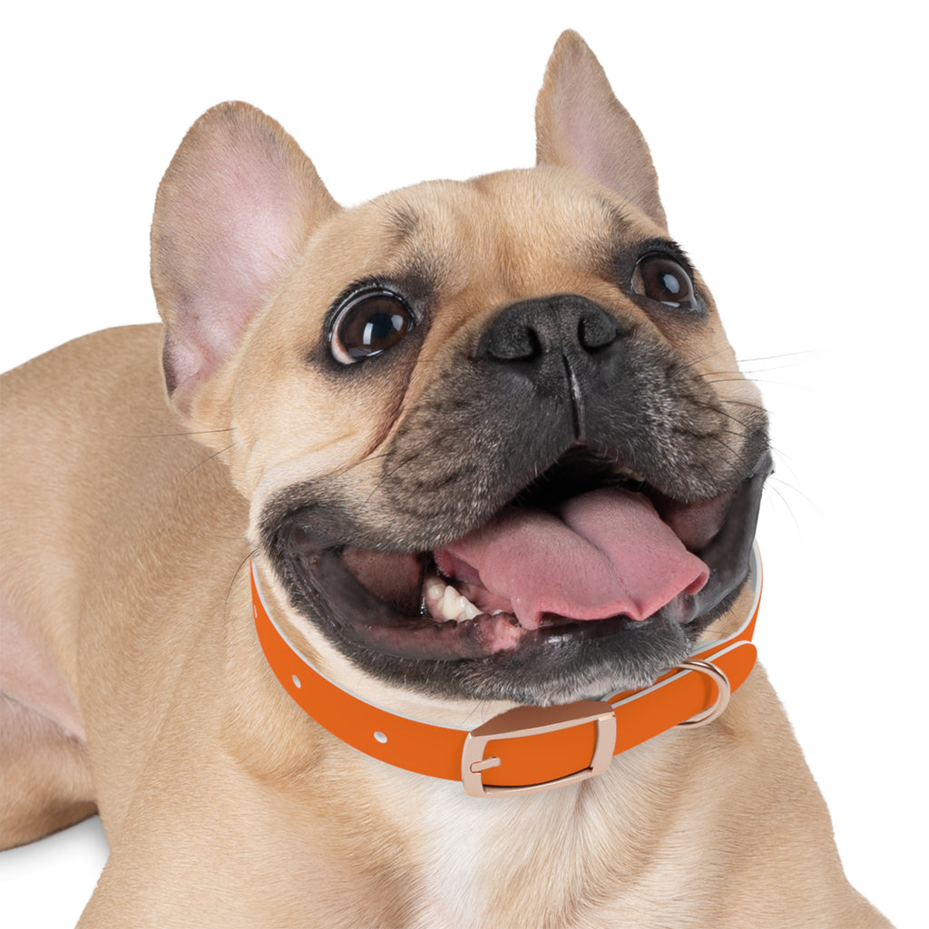 Durable Waterproof Dog Collar | Orange