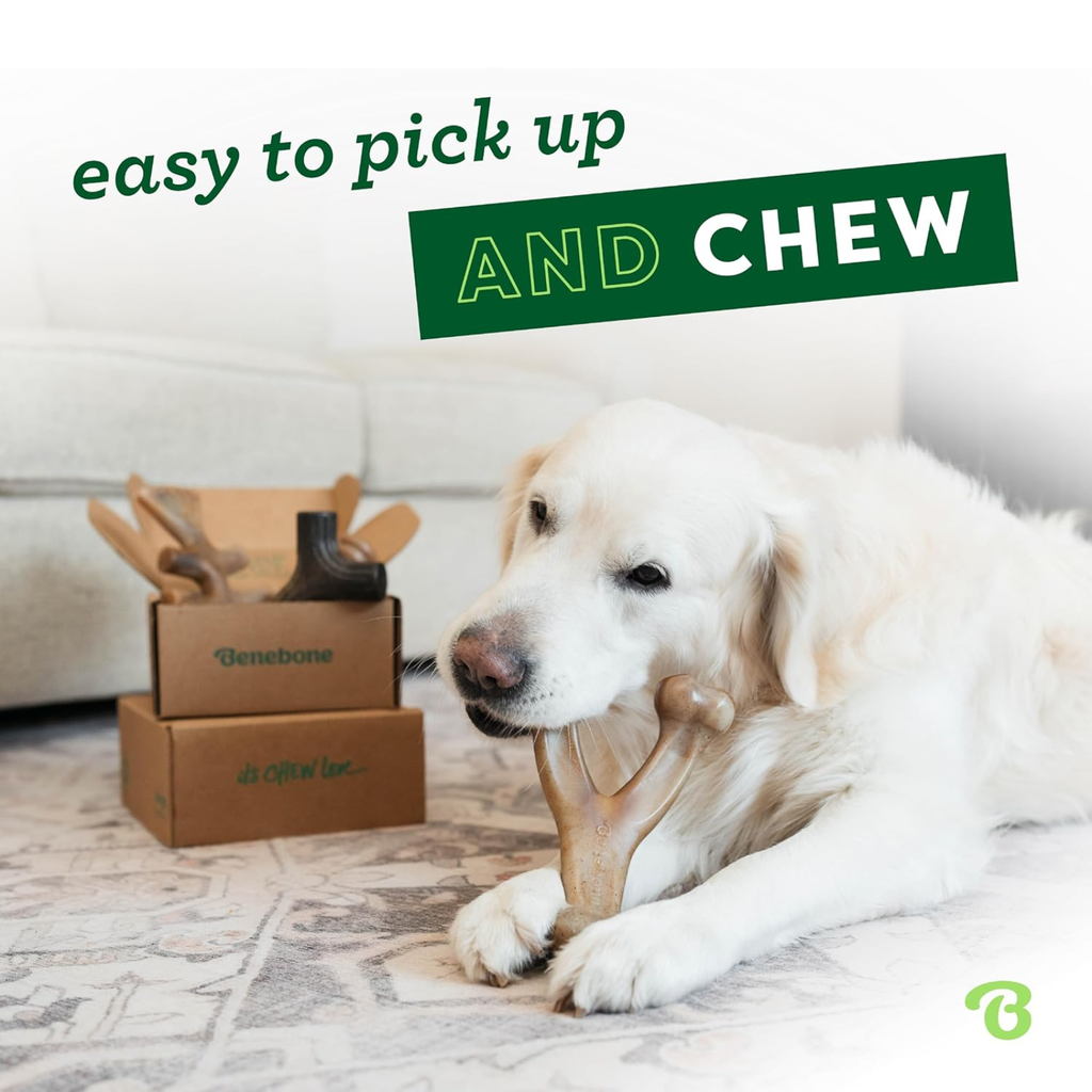 4-Pack of Benebones | Dog Chew Toys