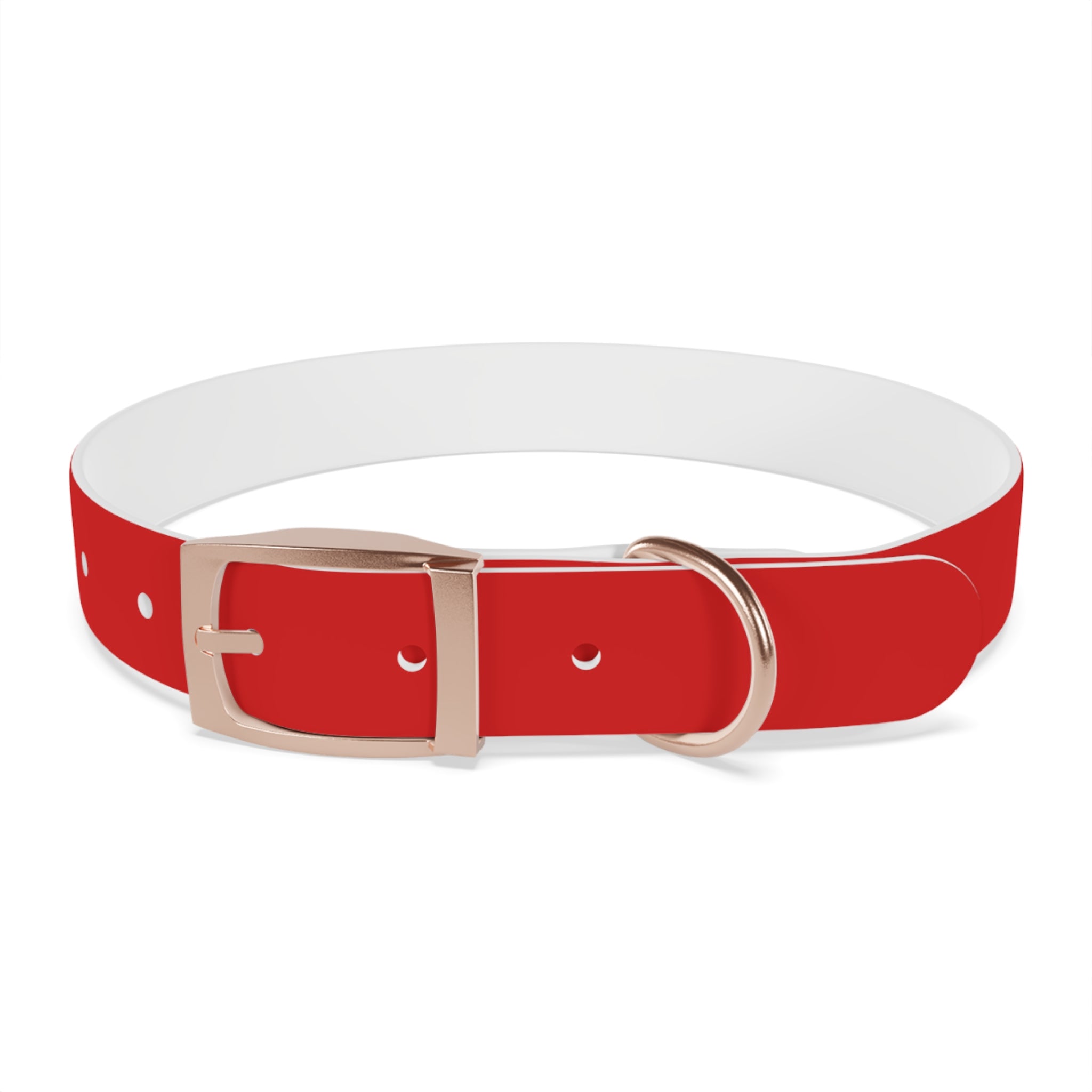 Durable Waterproof Dog Collar | Red
