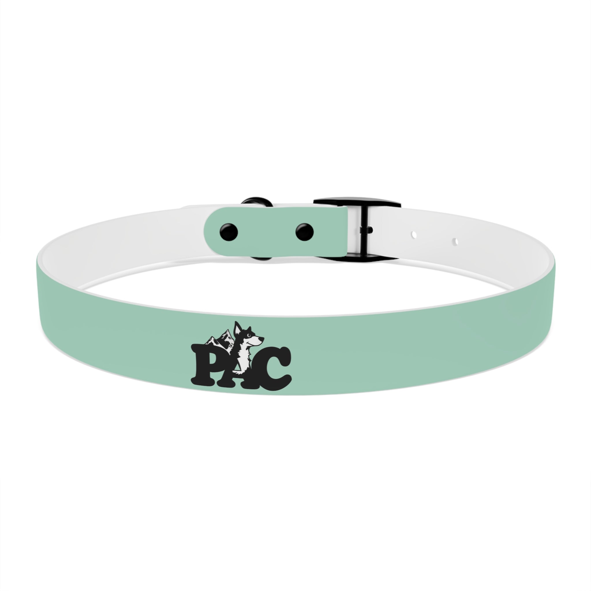 Durable Waterproof Dog Collar | Mint