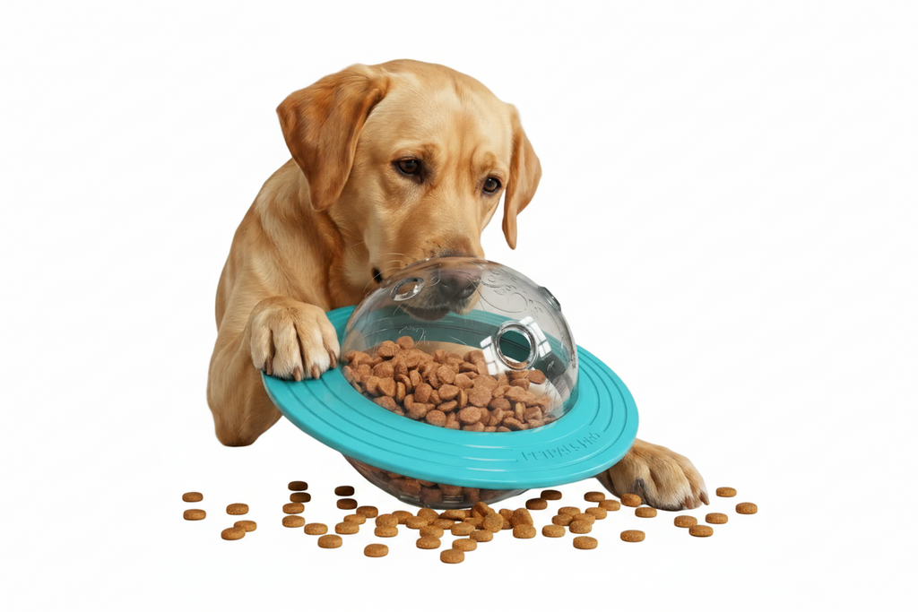 OrbitIQ 3-in-1 Interactive Dog Toy
