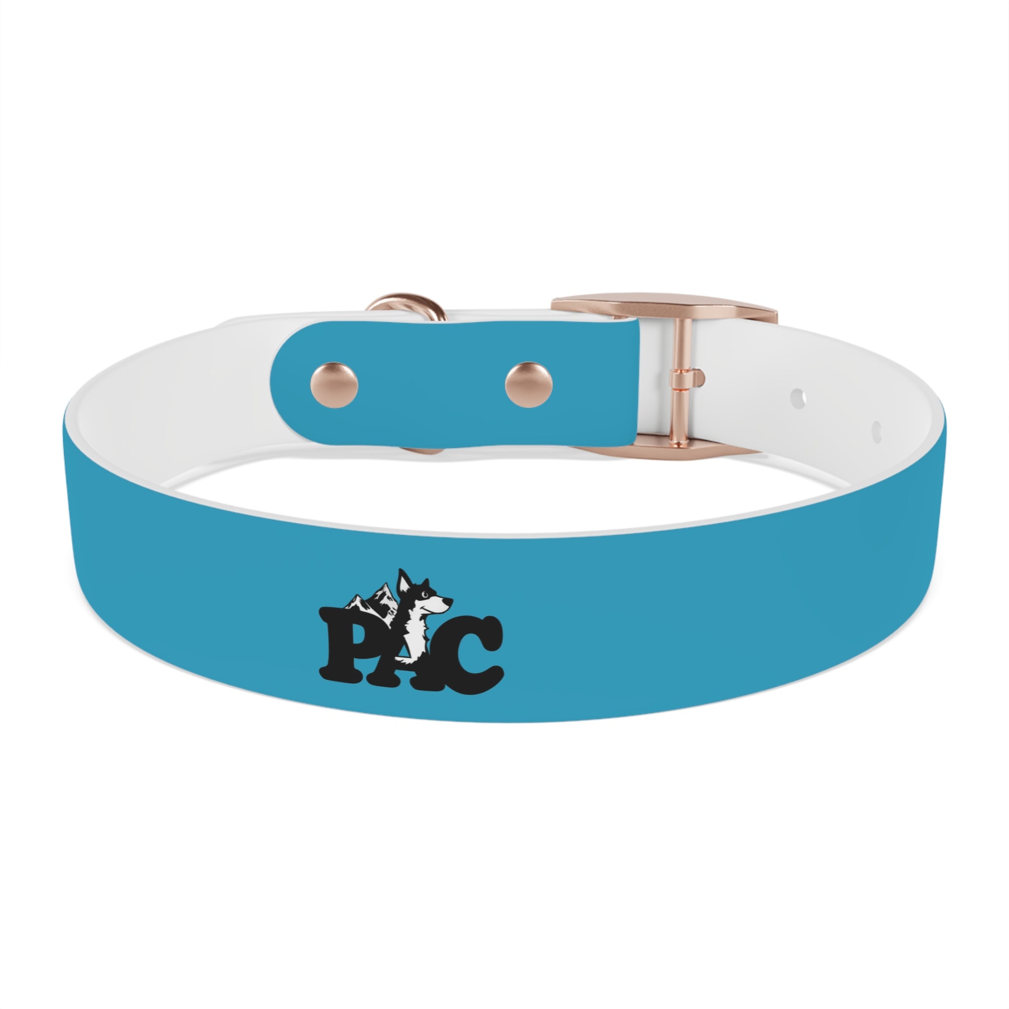 Durable Waterproof Dog Collar | Turquoise