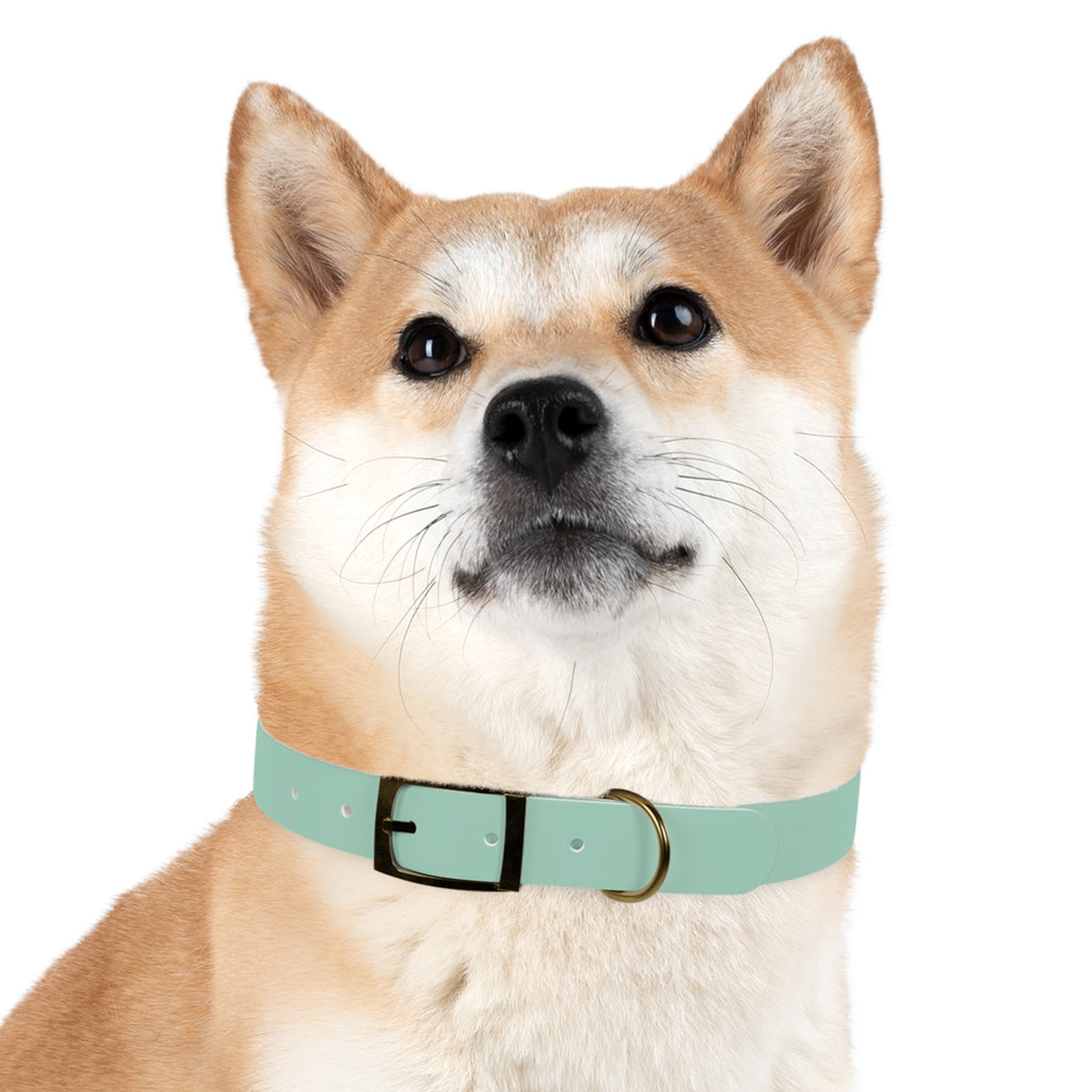 Durable Waterproof Dog Collar | Mint