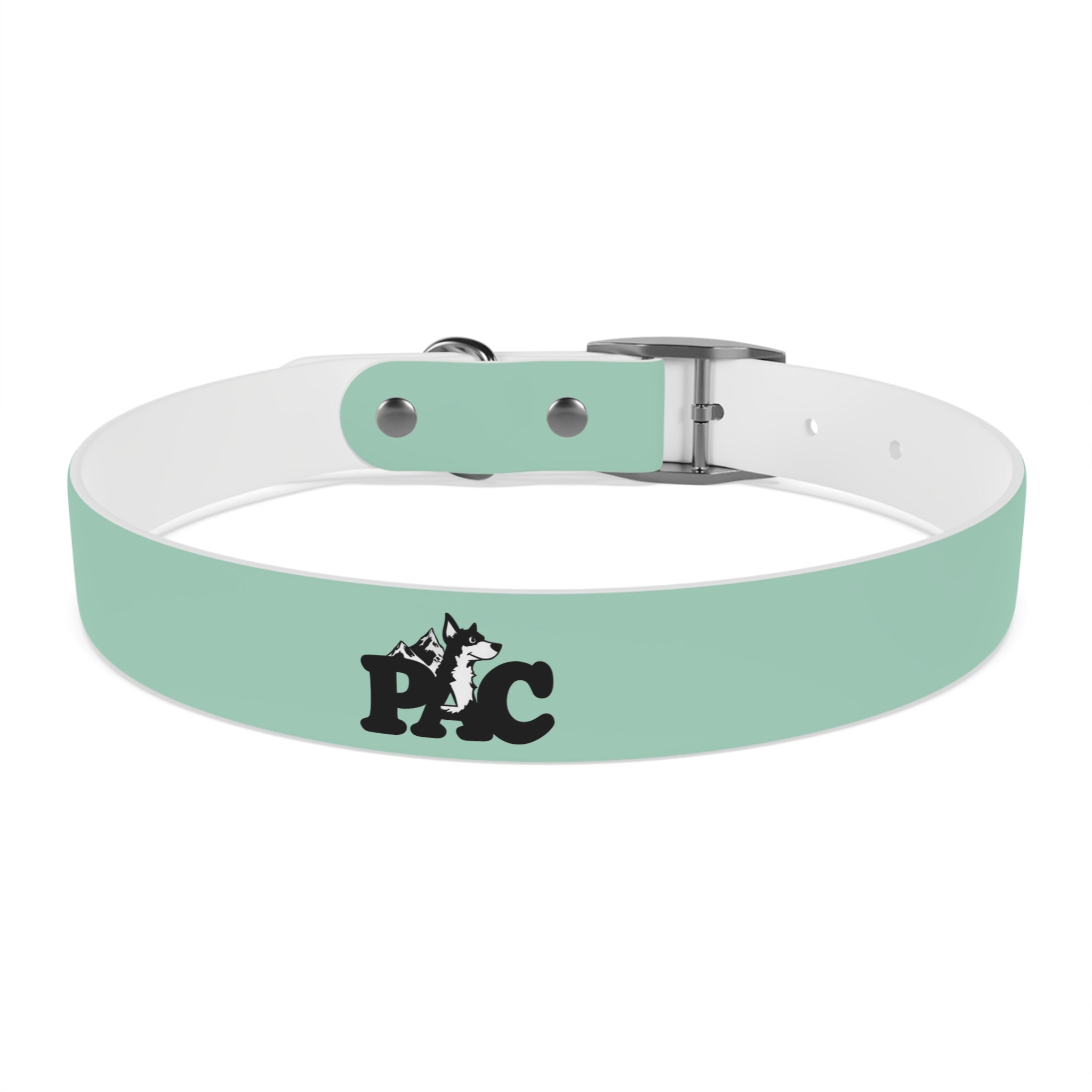 Durable Waterproof Dog Collar | Mint