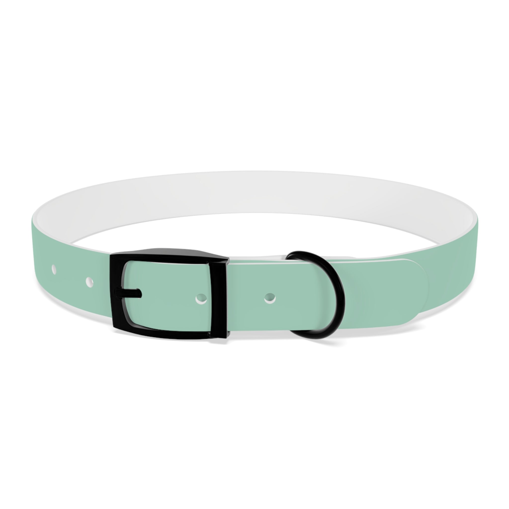 Durable Waterproof Dog Collar | Mint