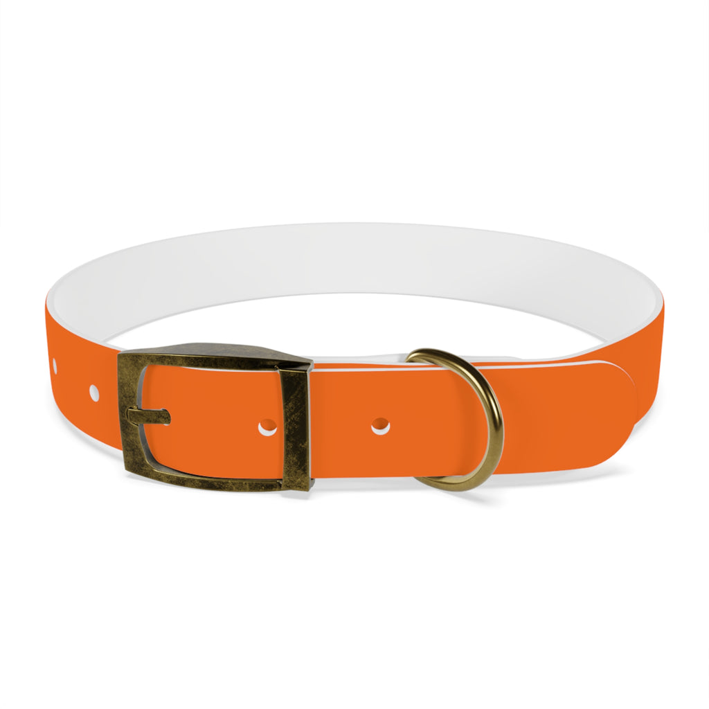 Durable Waterproof Dog Collar | Orange