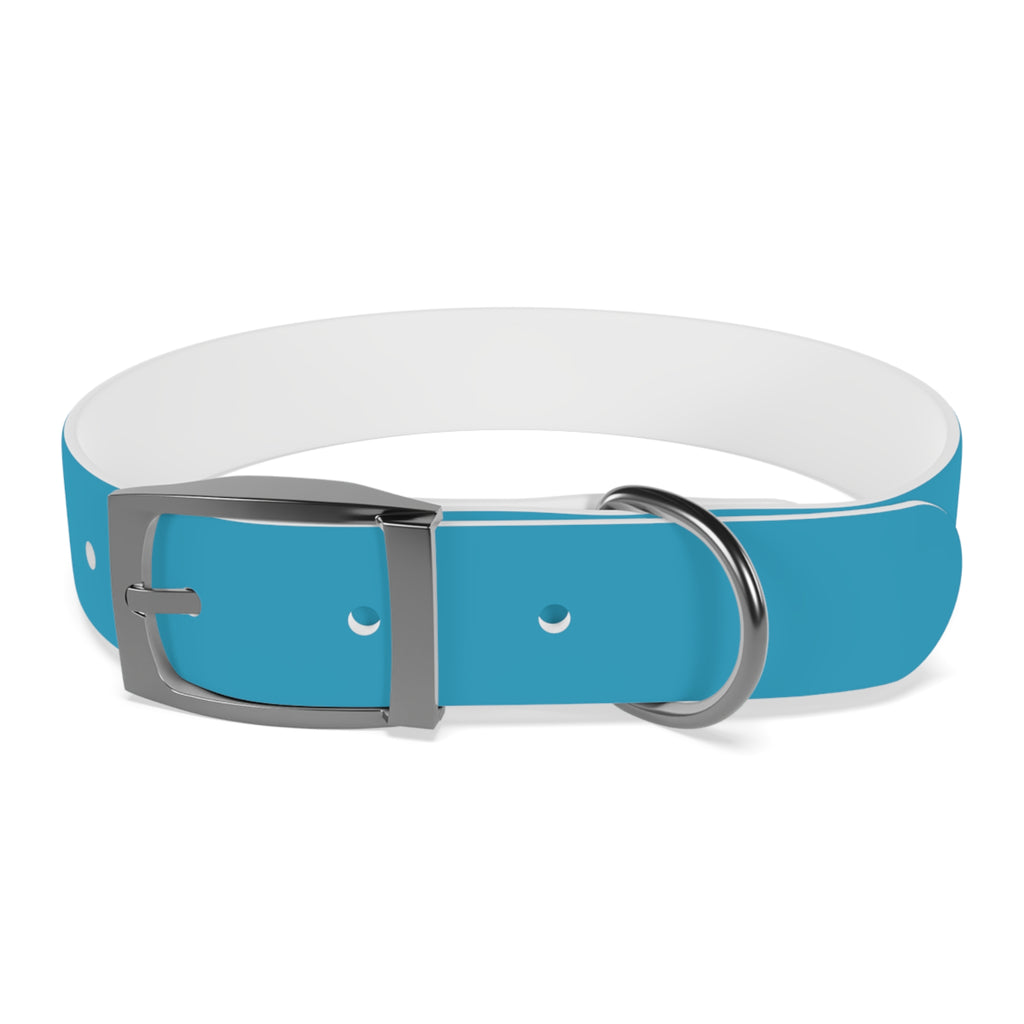 Durable Waterproof Dog Collar | Turquoise