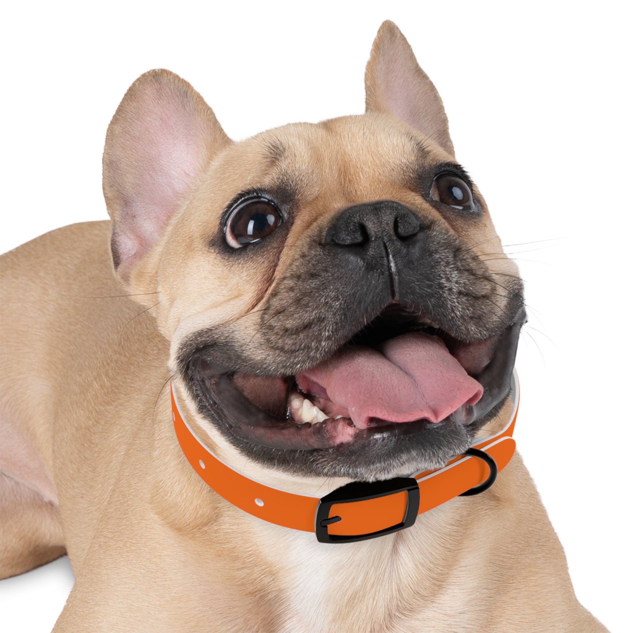 Durable Waterproof Dog Collar | Orange