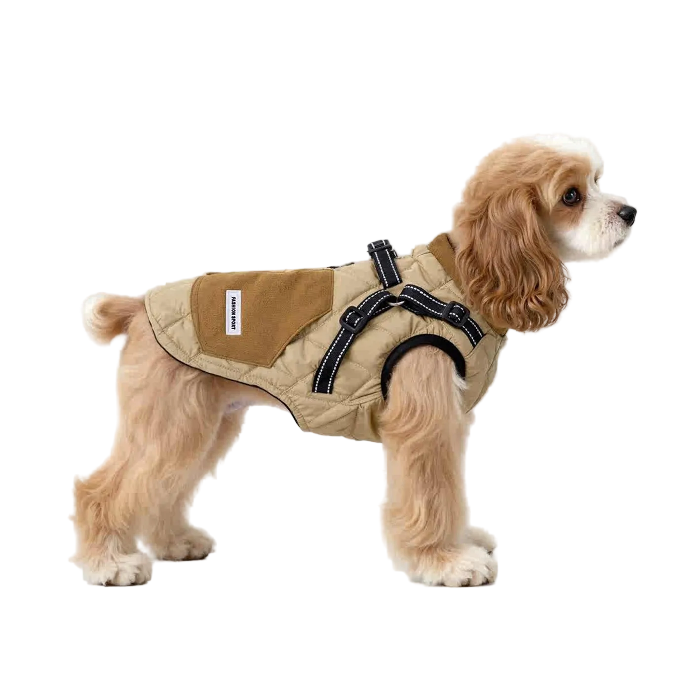 Dog Clothes Keep Warm In Autumn And Winter