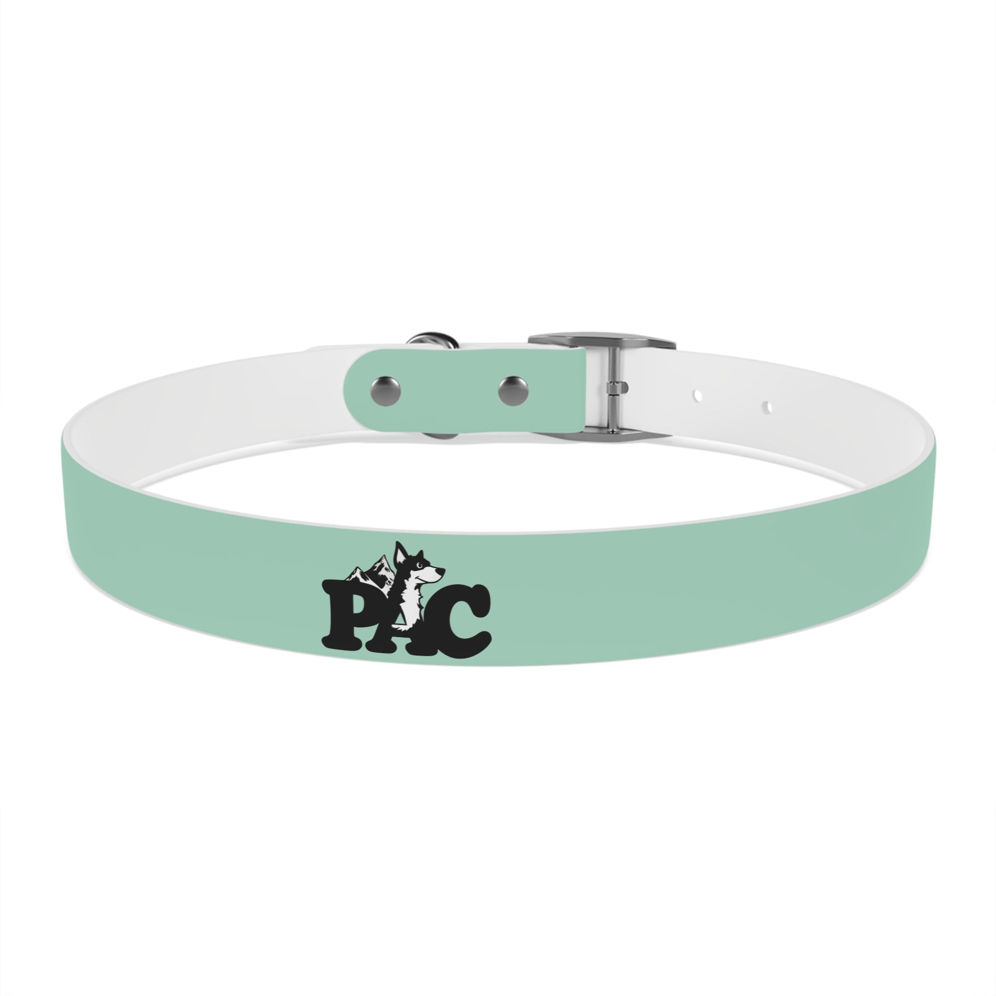 Durable Waterproof Dog Collar | Mint