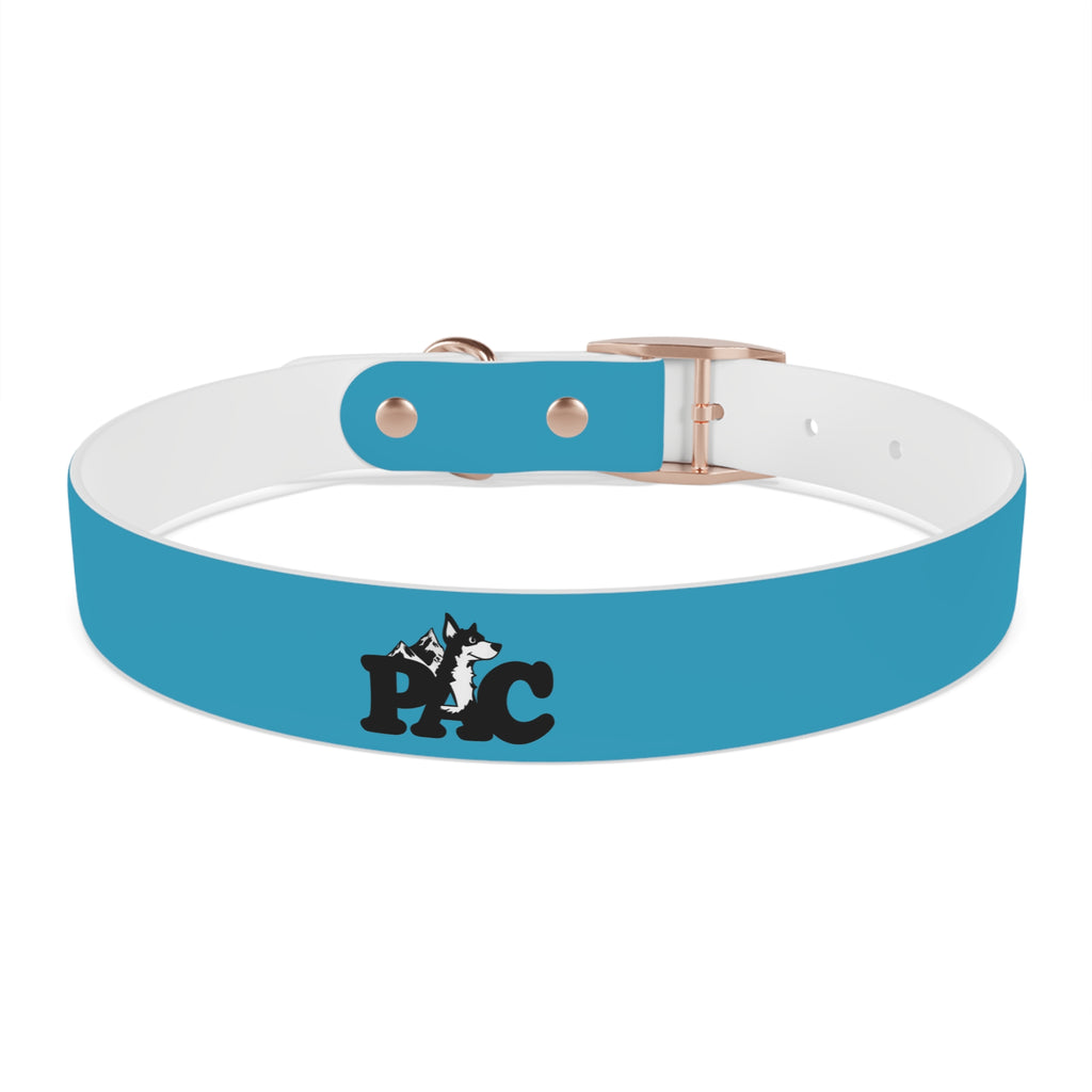 Durable Waterproof Dog Collar | Turquoise