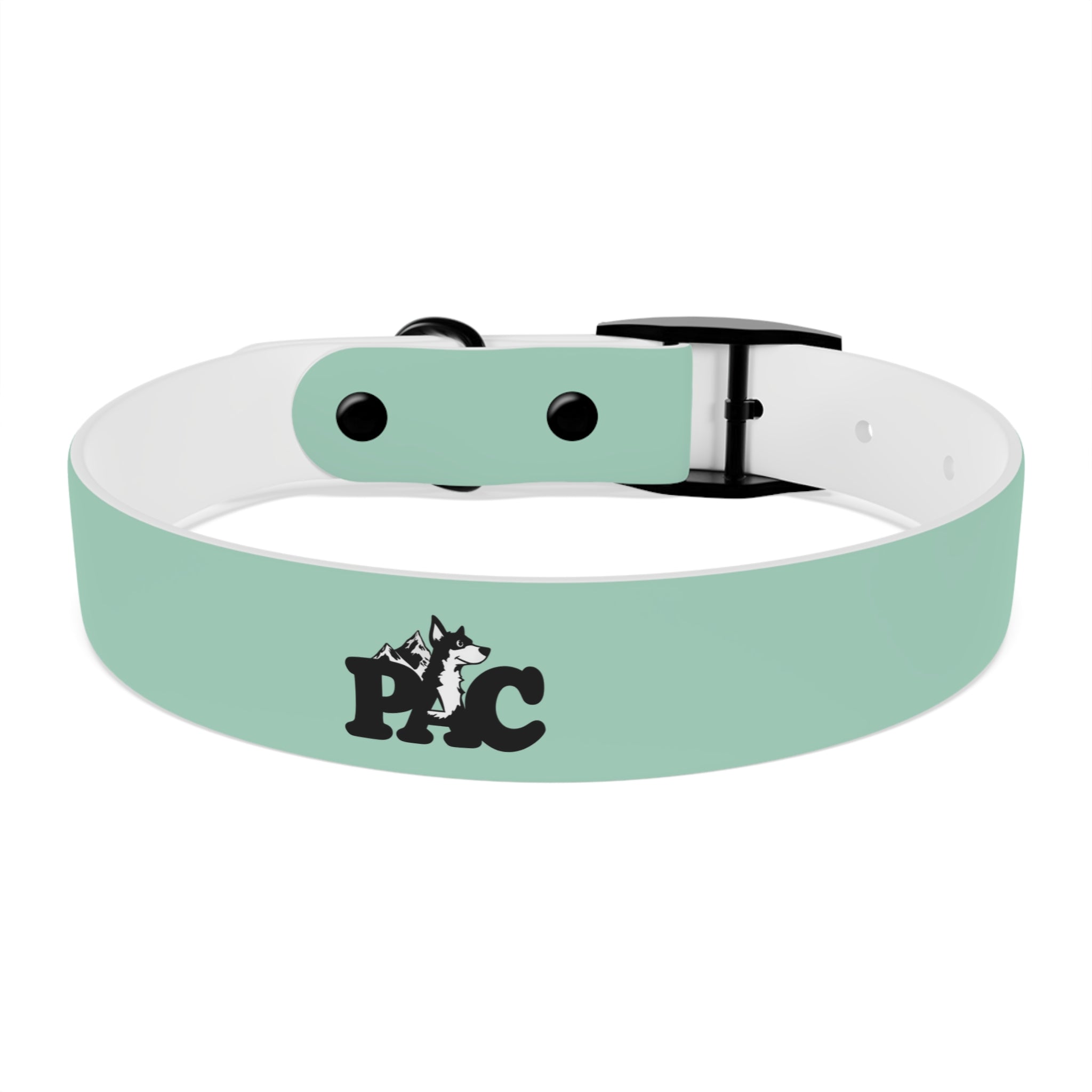 Durable Waterproof Dog Collar | Mint