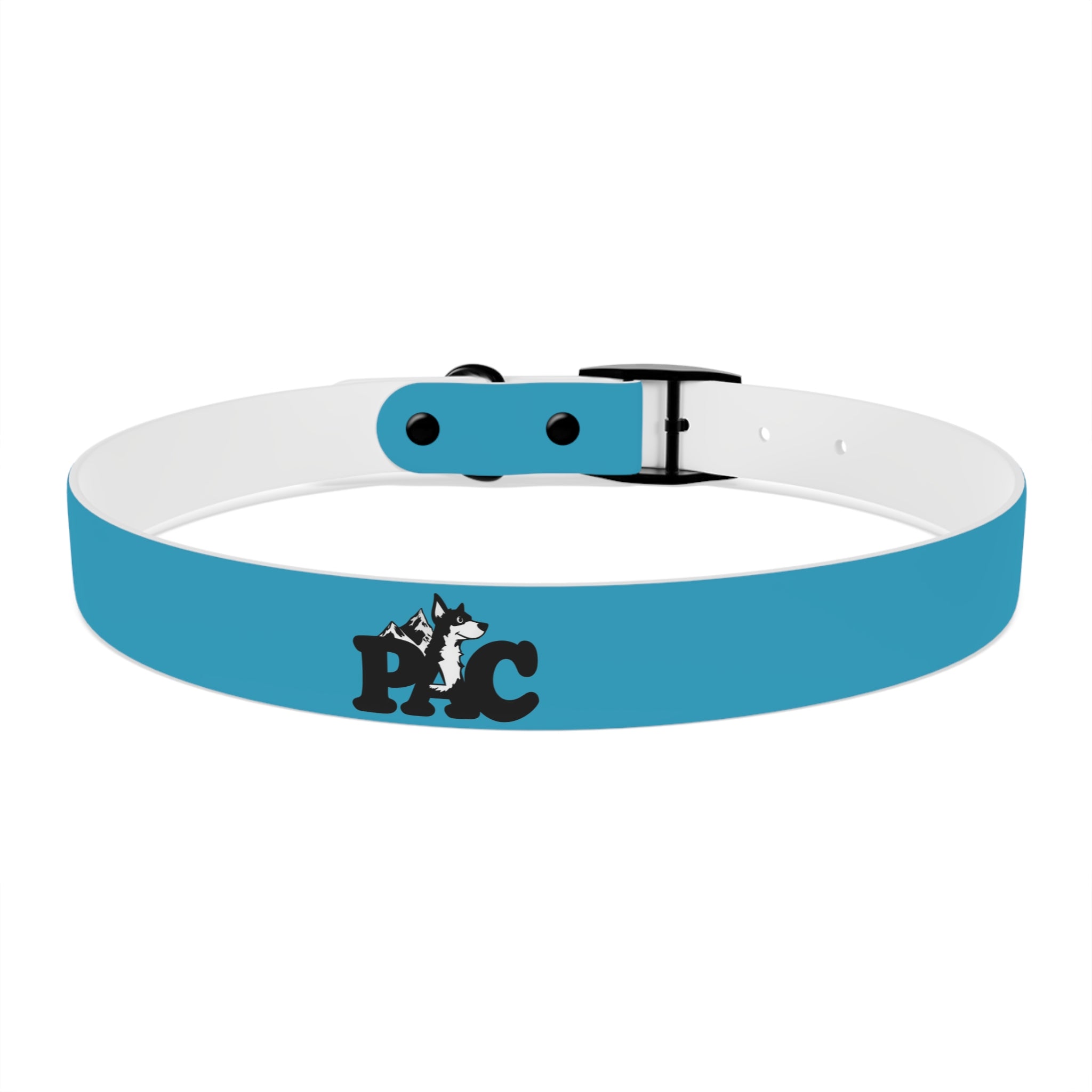 Durable Waterproof Dog Collar | Turquoise