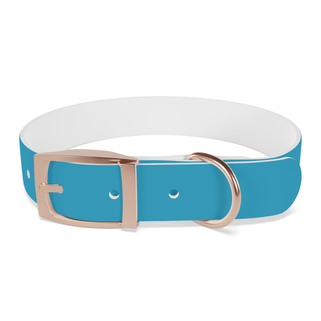 Durable Waterproof Dog Collar | Turquoise