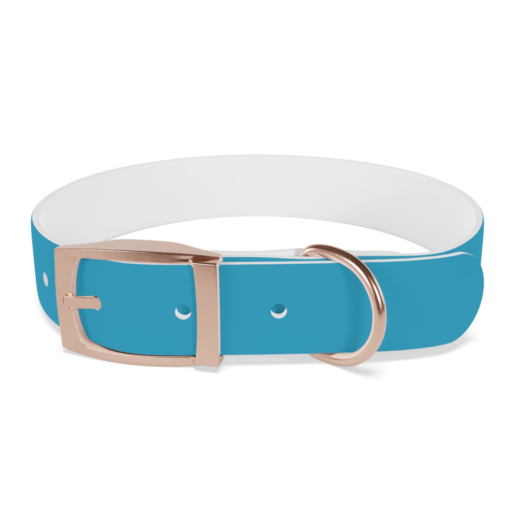Durable Waterproof Dog Collar | Turquoise