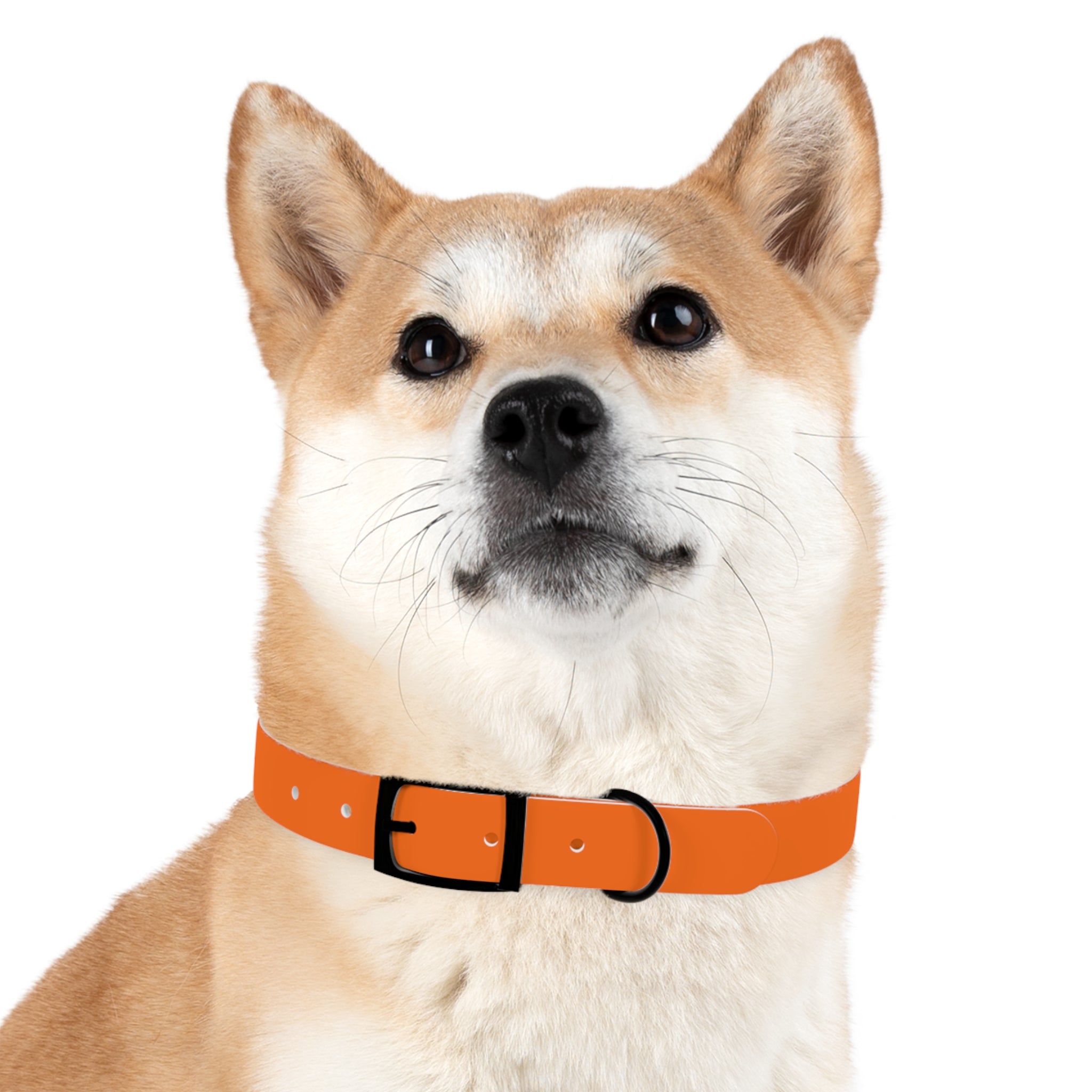 Durable Waterproof Dog Collar | Orange
