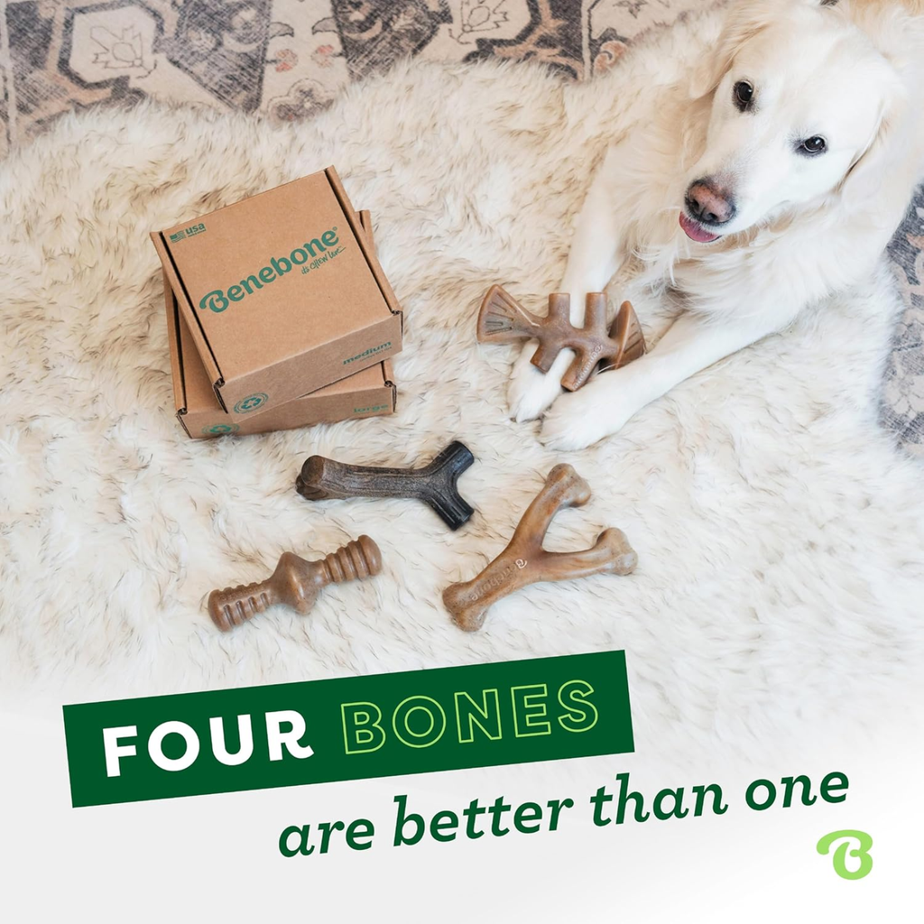 4-Pack of Benebones | Dog Chew Toys