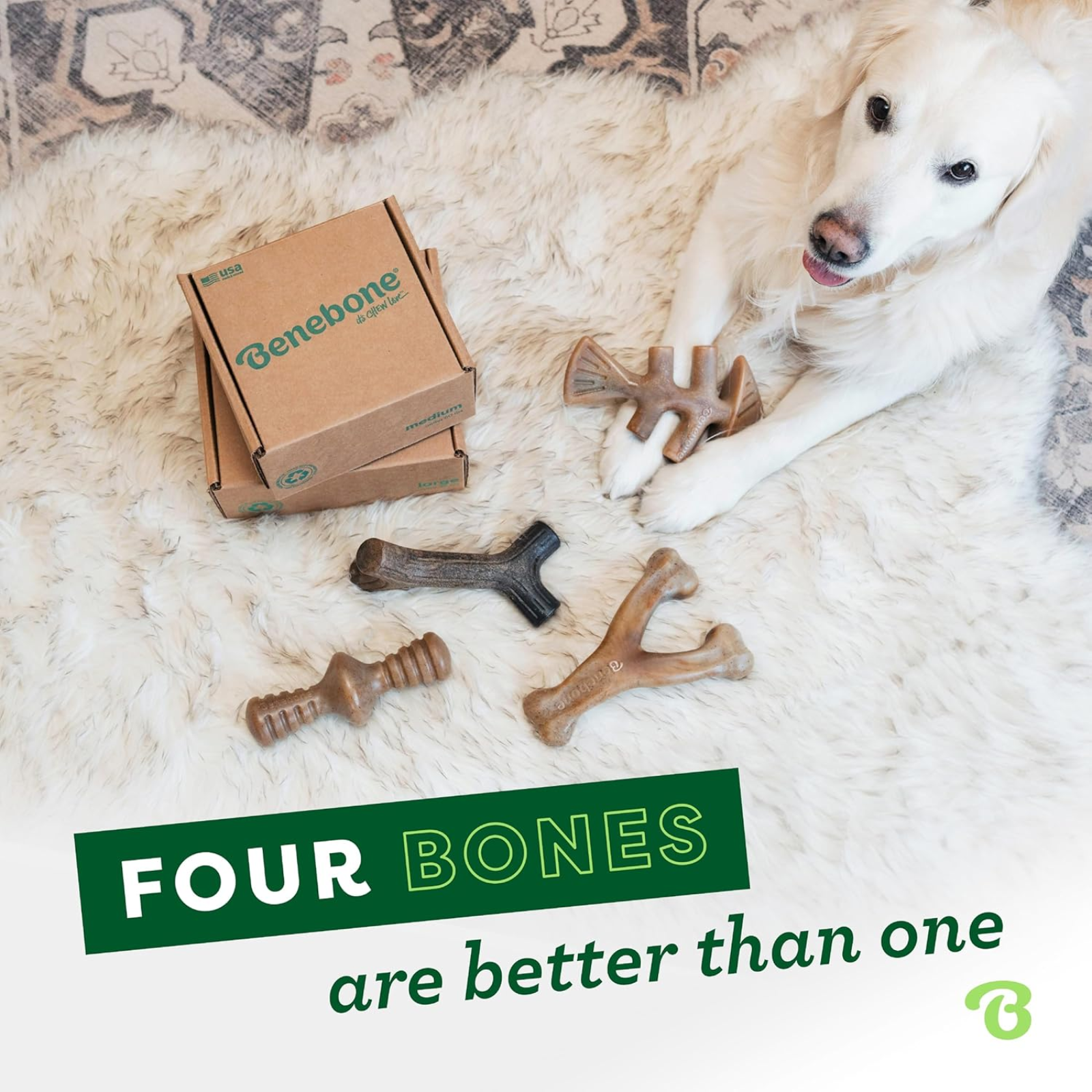 4-Pack of Benebones | Dog Chew Toys