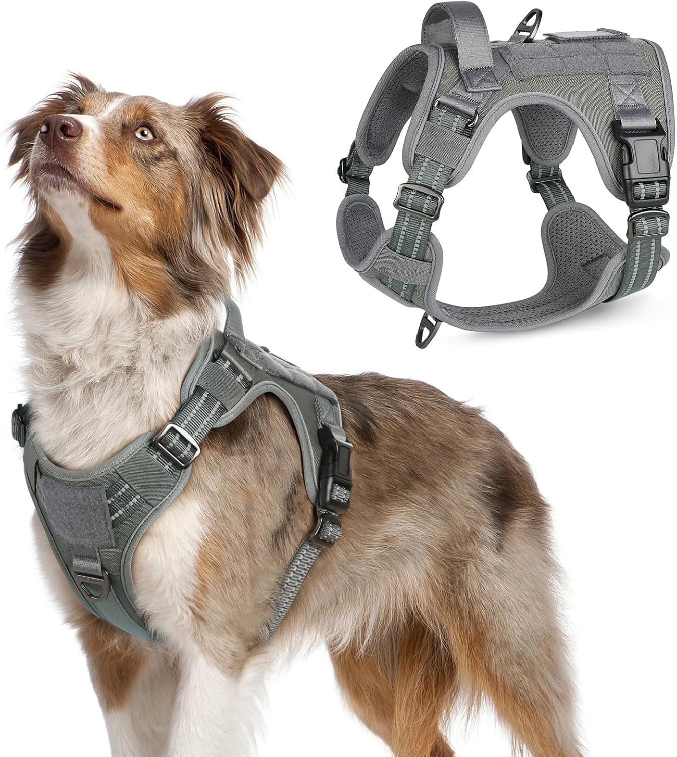No Pull Tactical Dog Harness