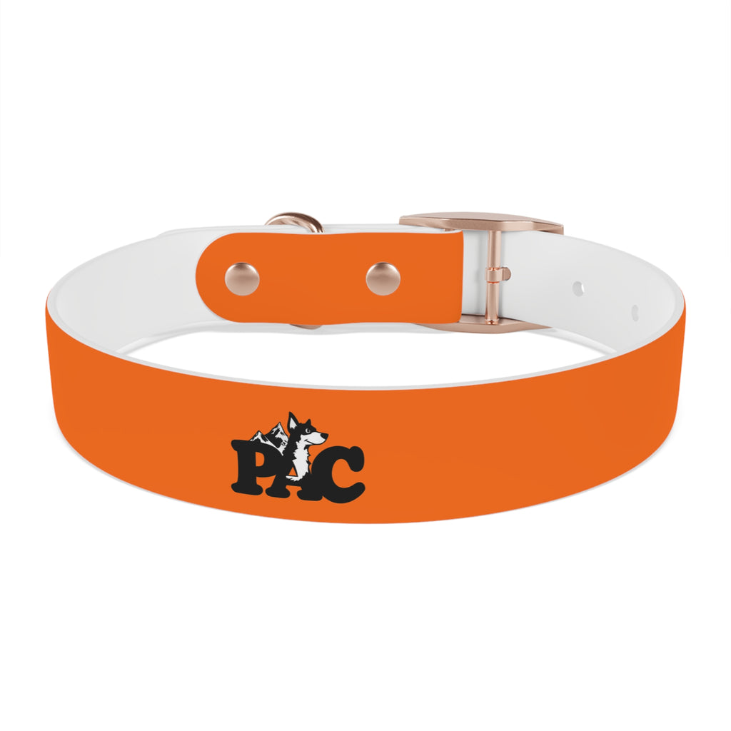 Durable Waterproof Dog Collar | Orange
