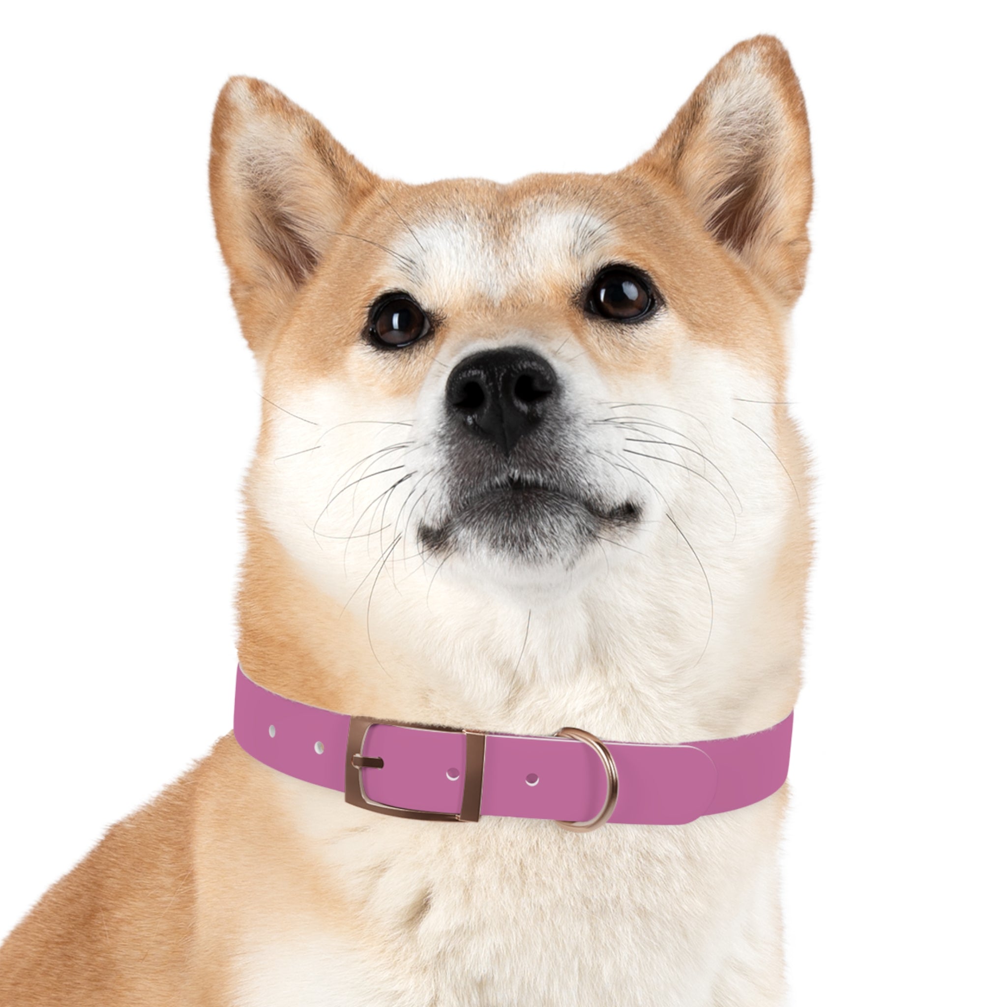 Durable Waterproof Dog Collar | Pink
