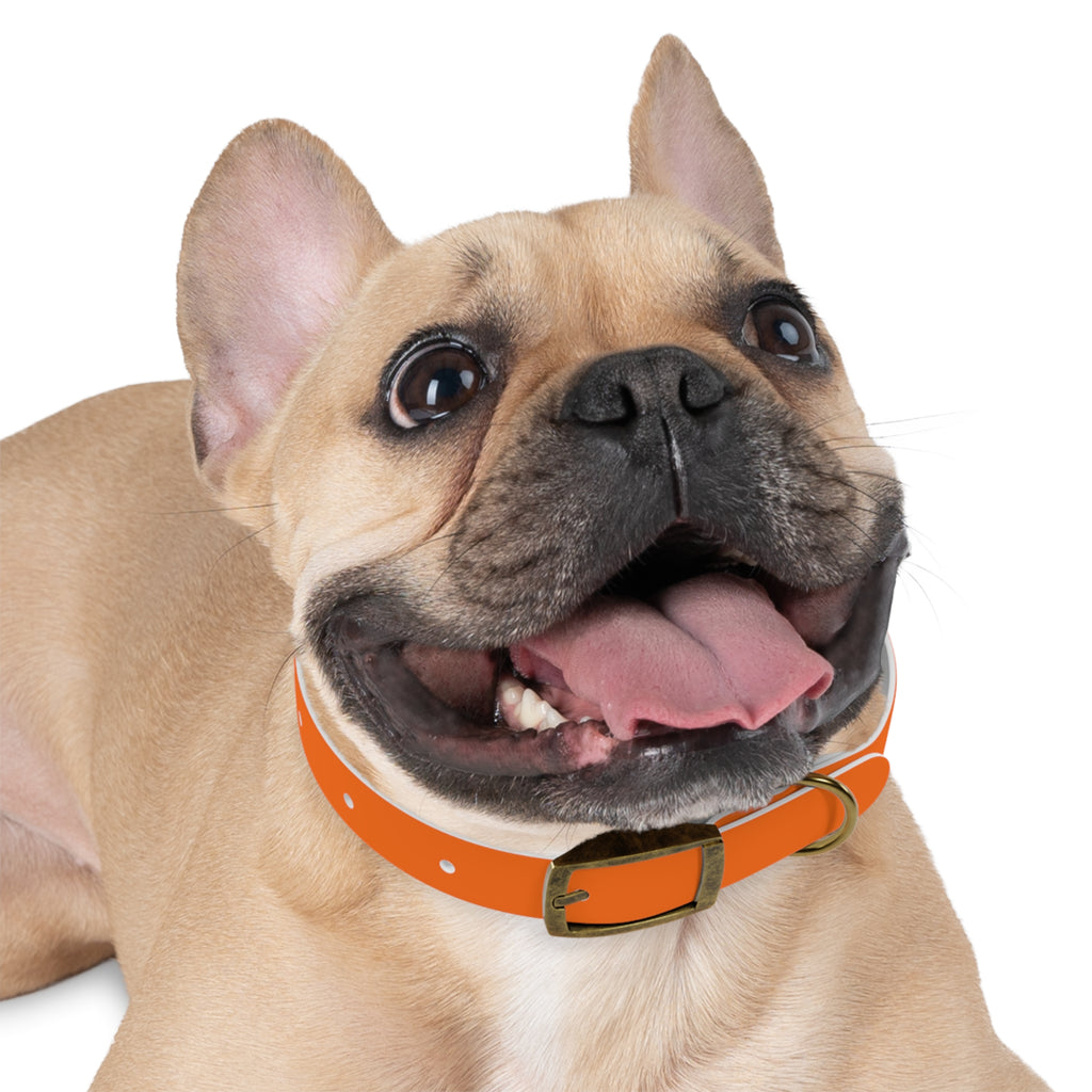 Durable Waterproof Dog Collar | Orange